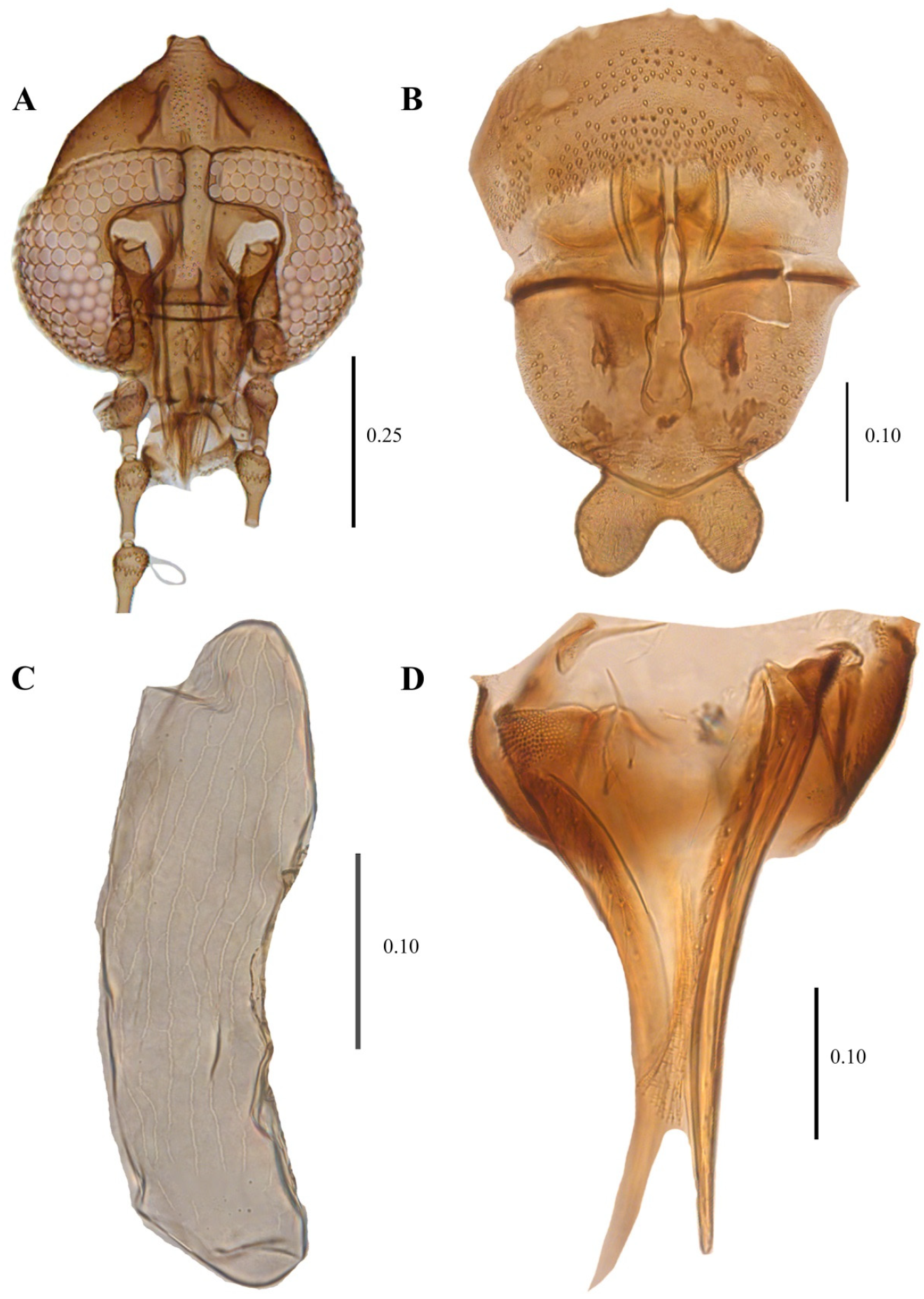 Diversity 14 00532 g015 Diversity 14 00532 g015