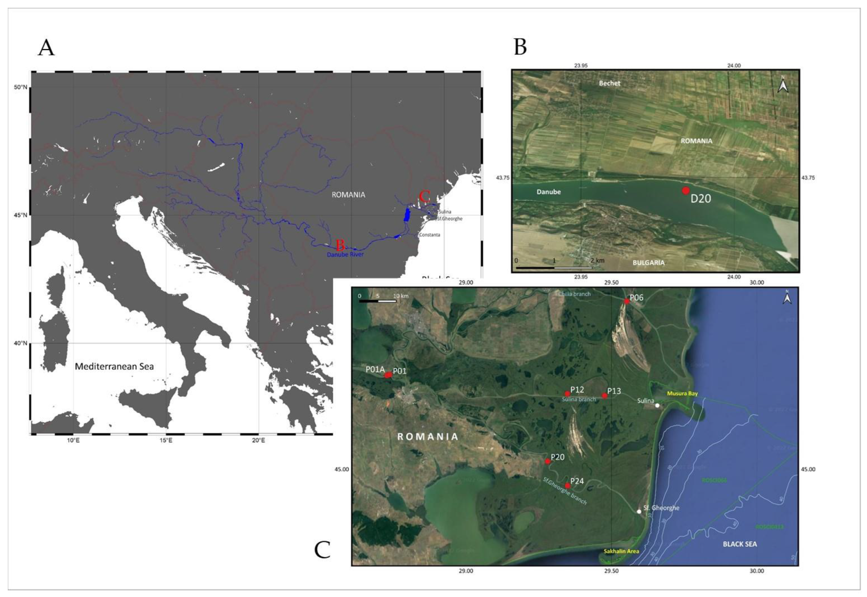 Diversity 14 00533 g001 Diversity 14 00533 g001