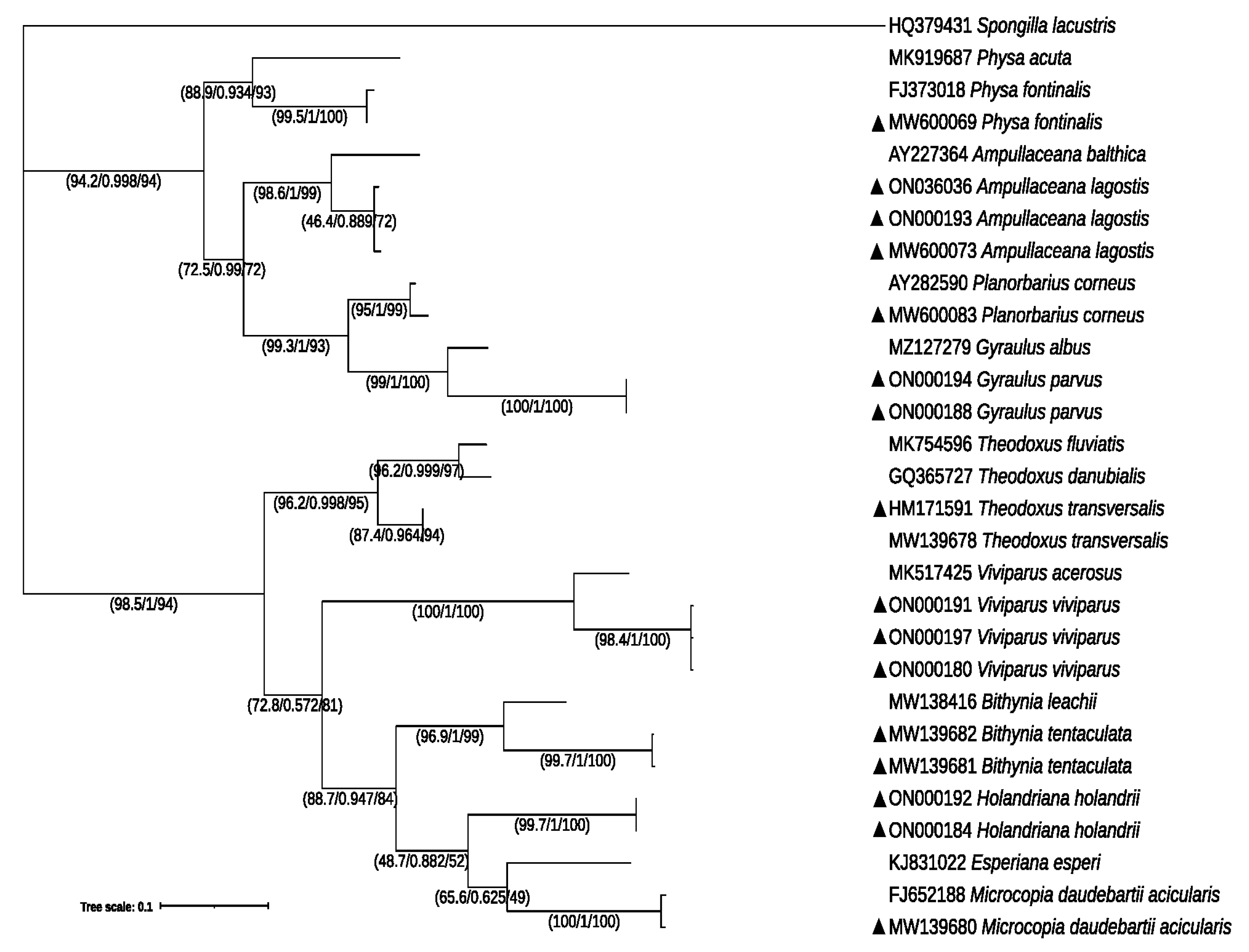 Diversity 14 00533 g002 Diversity 14 00533 g002