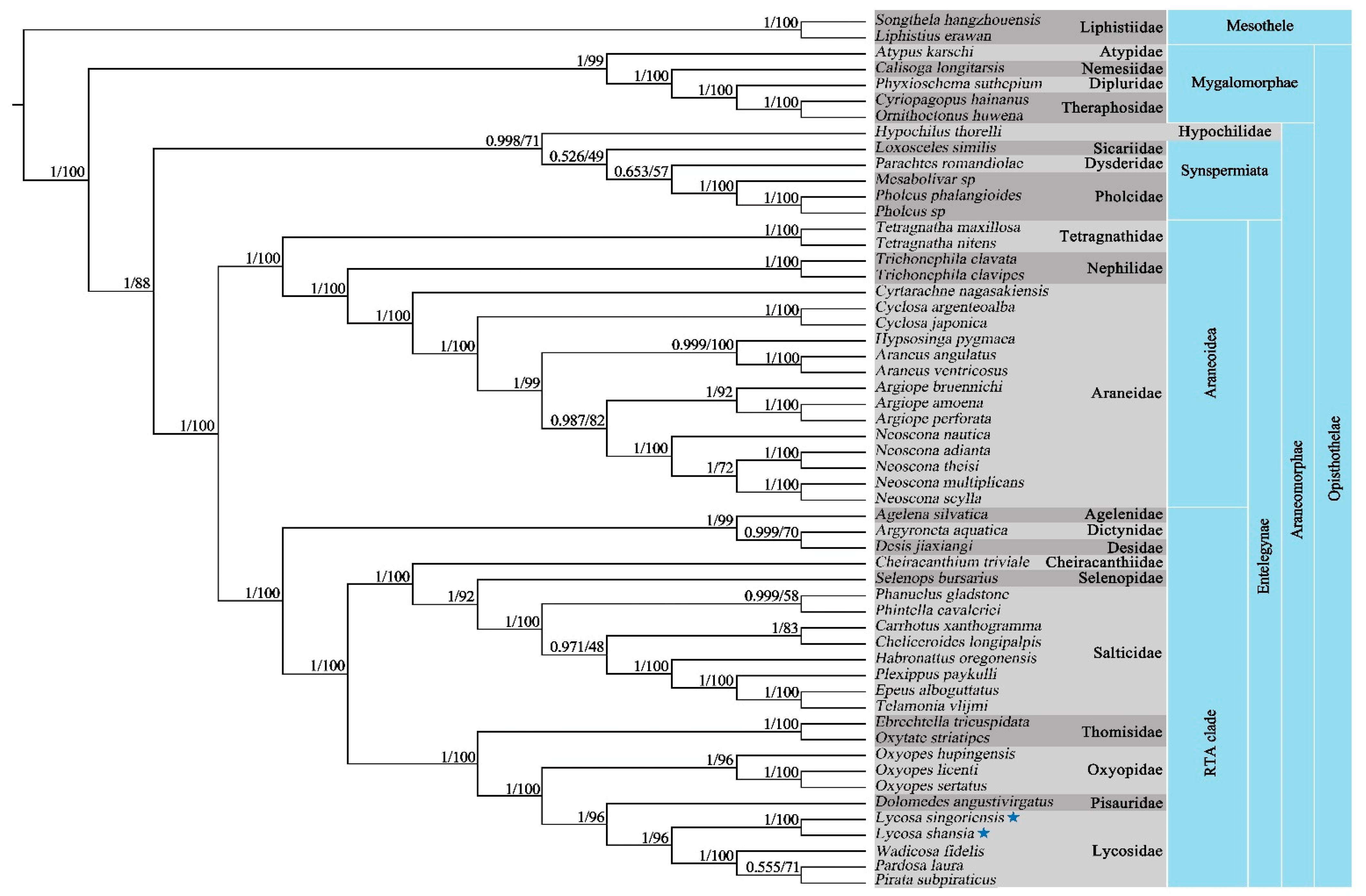 Diversity 14 00538 g007