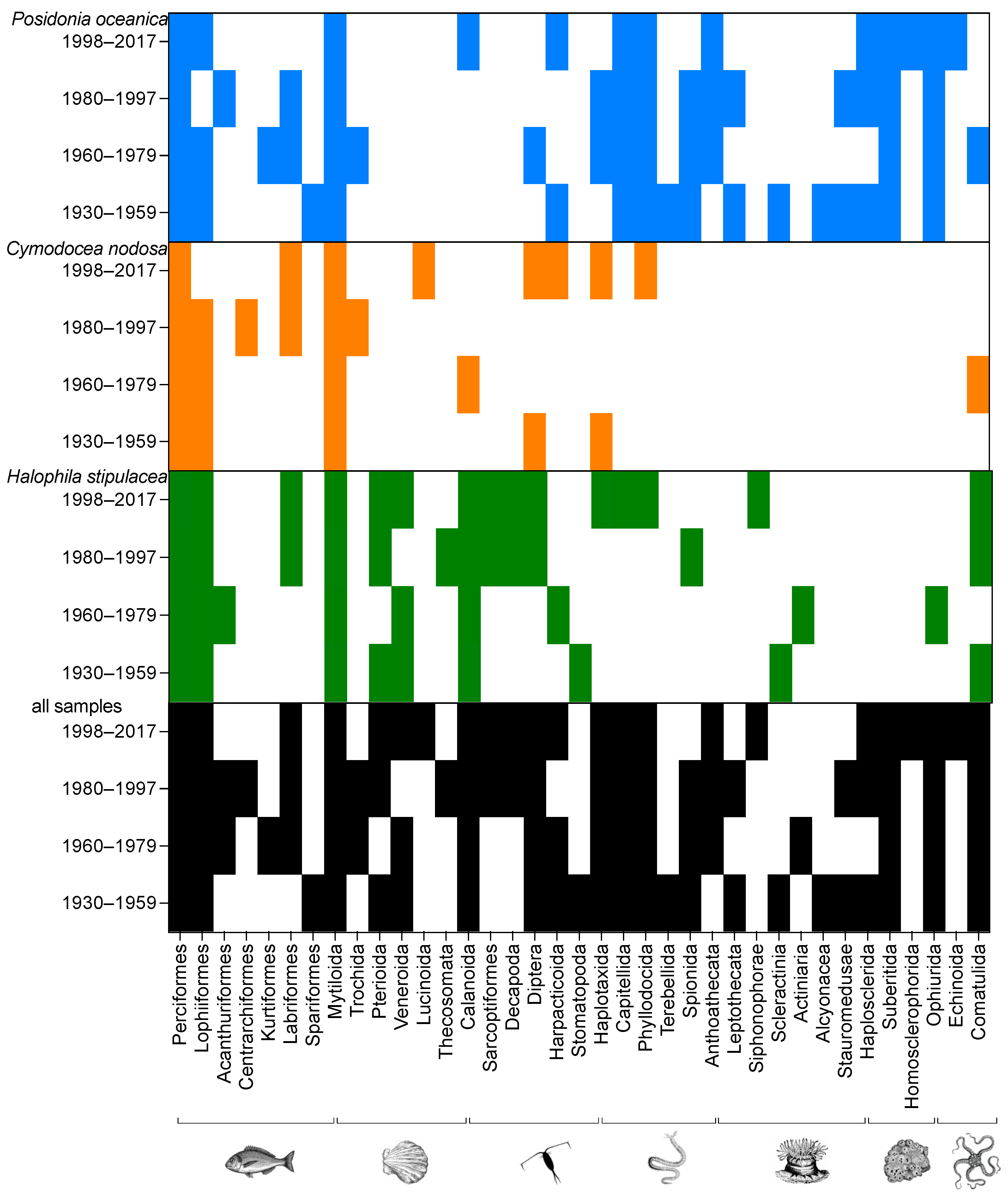Diversity 14 00549 g004 Diversity 14 00549 g004