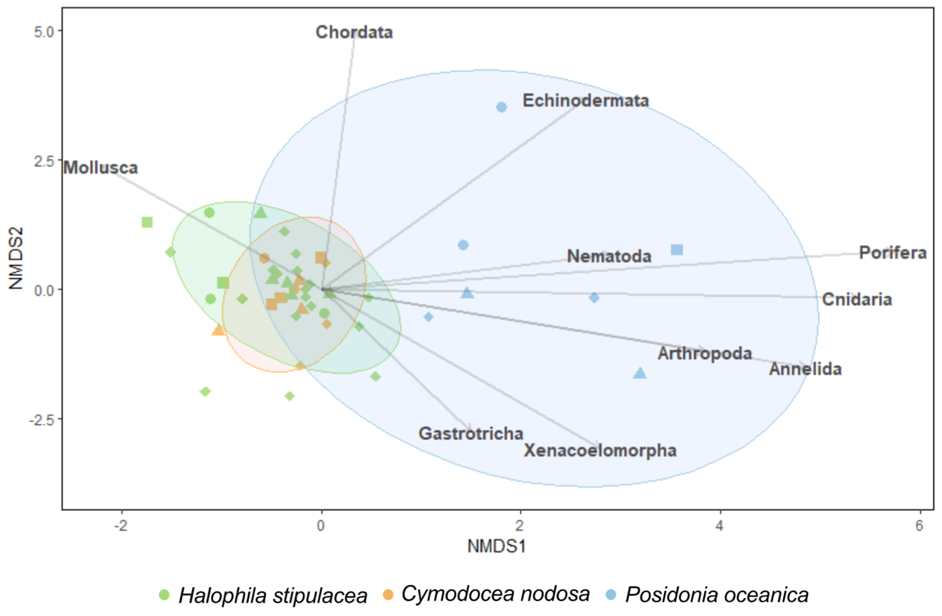 Diversity 14 00549 g005 Diversity 14 00549 g005
