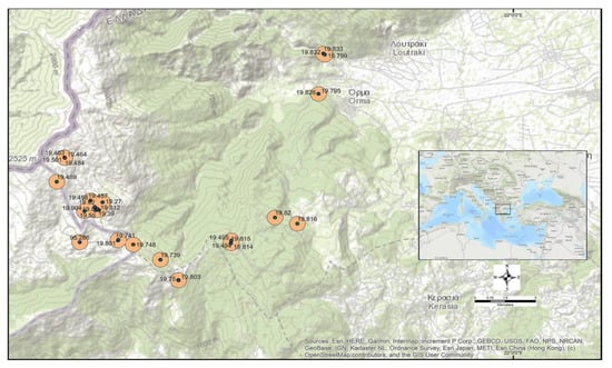 Diversity | Free Full-Text | Prioritizing Plants around the Cross-Border  Area of Greece and the Republic of North Macedonia: Integrated Conservation  Actions and Sustainable Exploitation Potential | HTML
