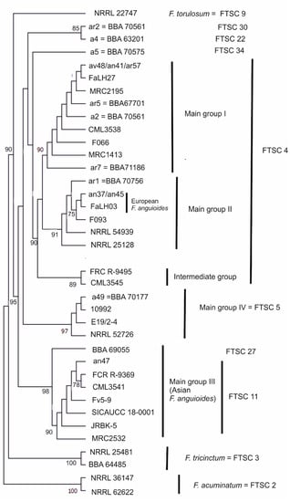 Inter- and intraspecies comparison of phylogenetic fingerprints