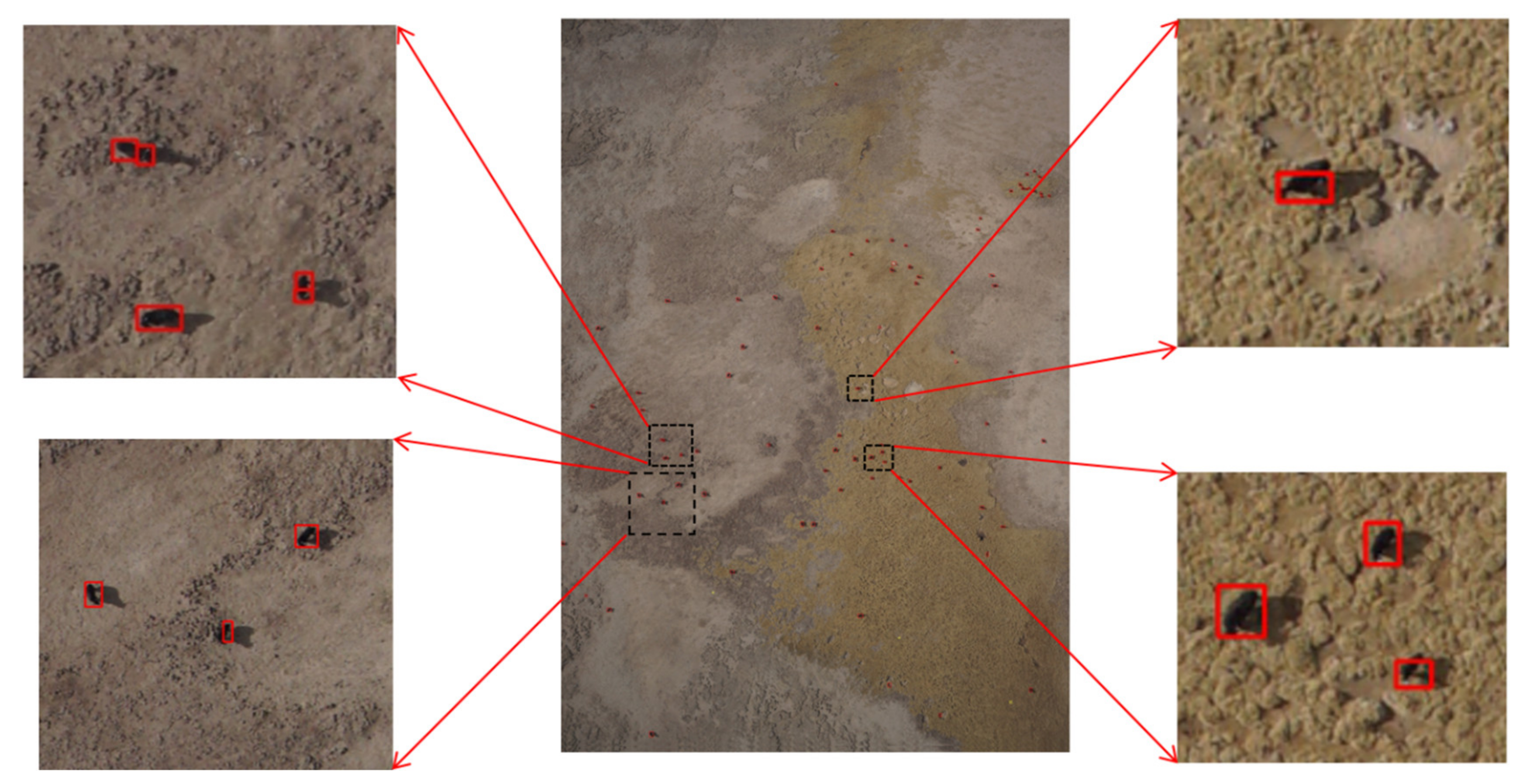 Diversity 14 00624 g015