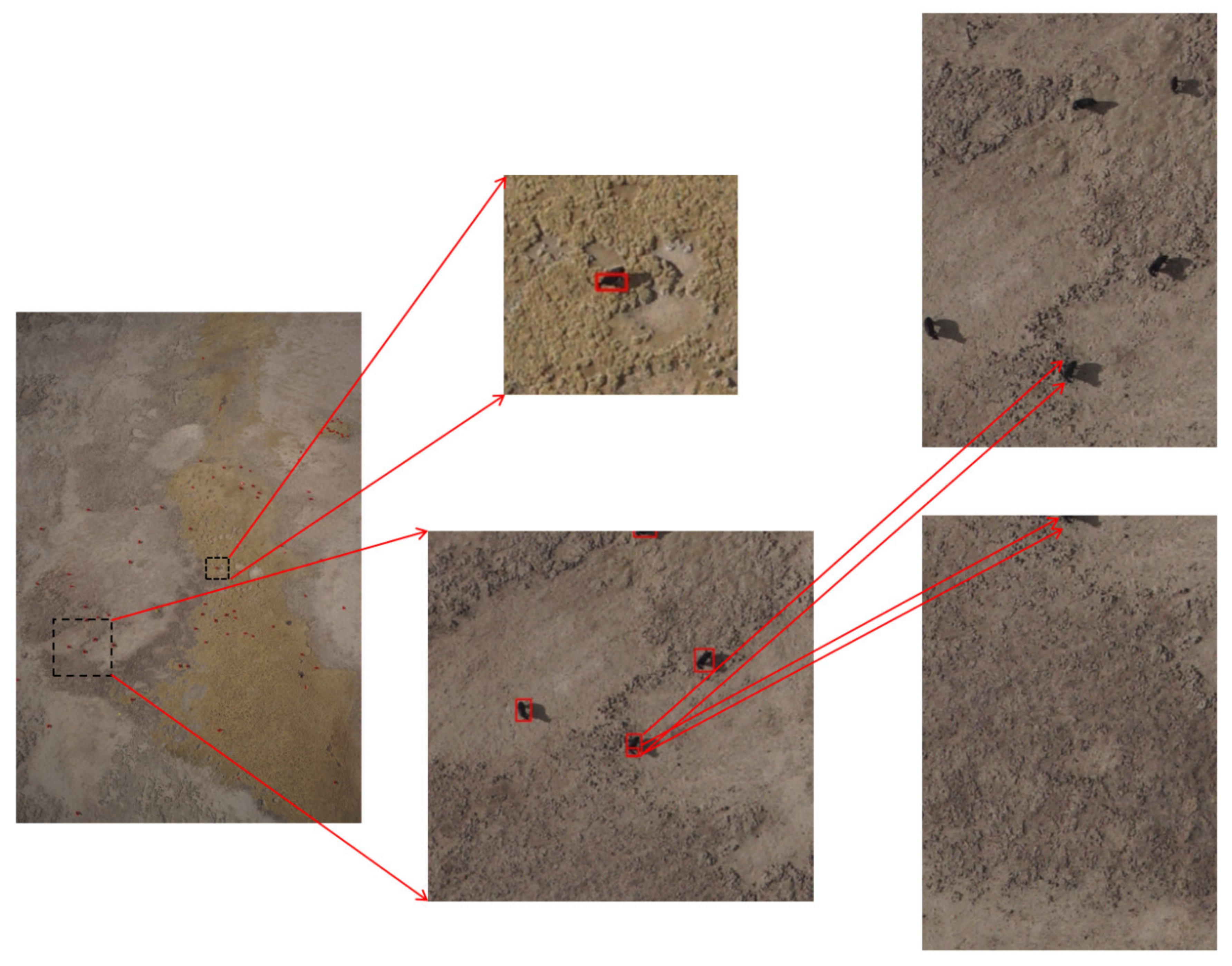 Diversity 14 00624 g016