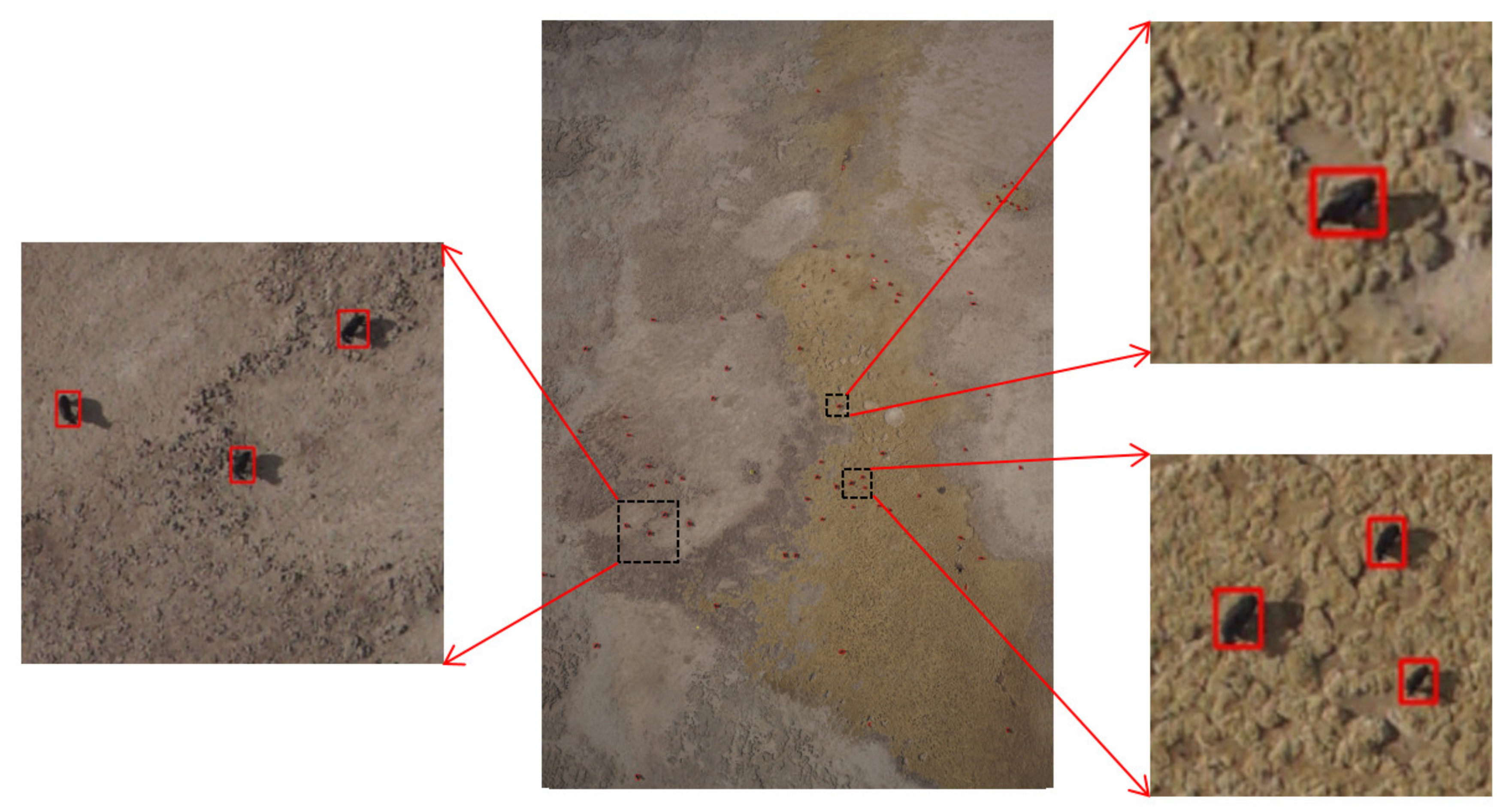 Diversity 14 00624 g017