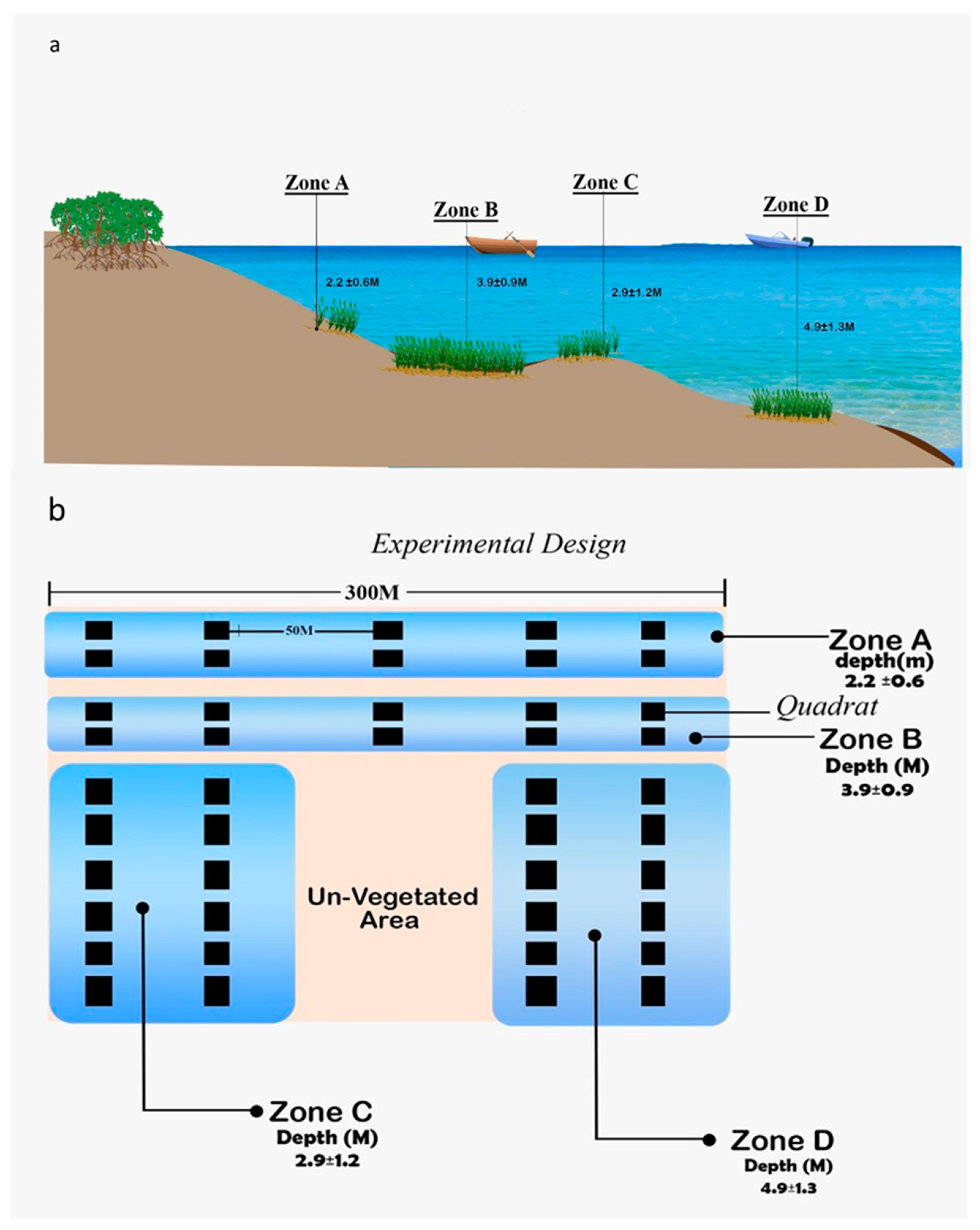 Diversity 14 00646 g002