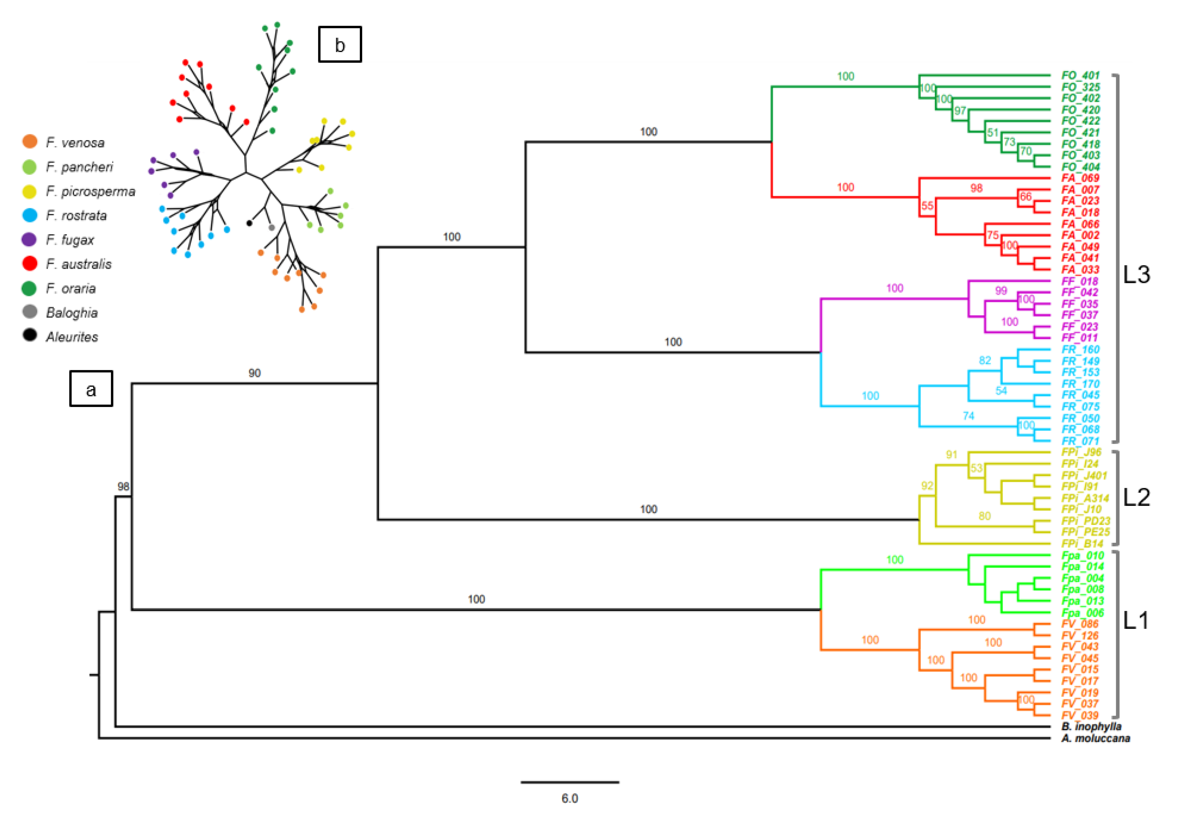 Diversity 14 00725 g003