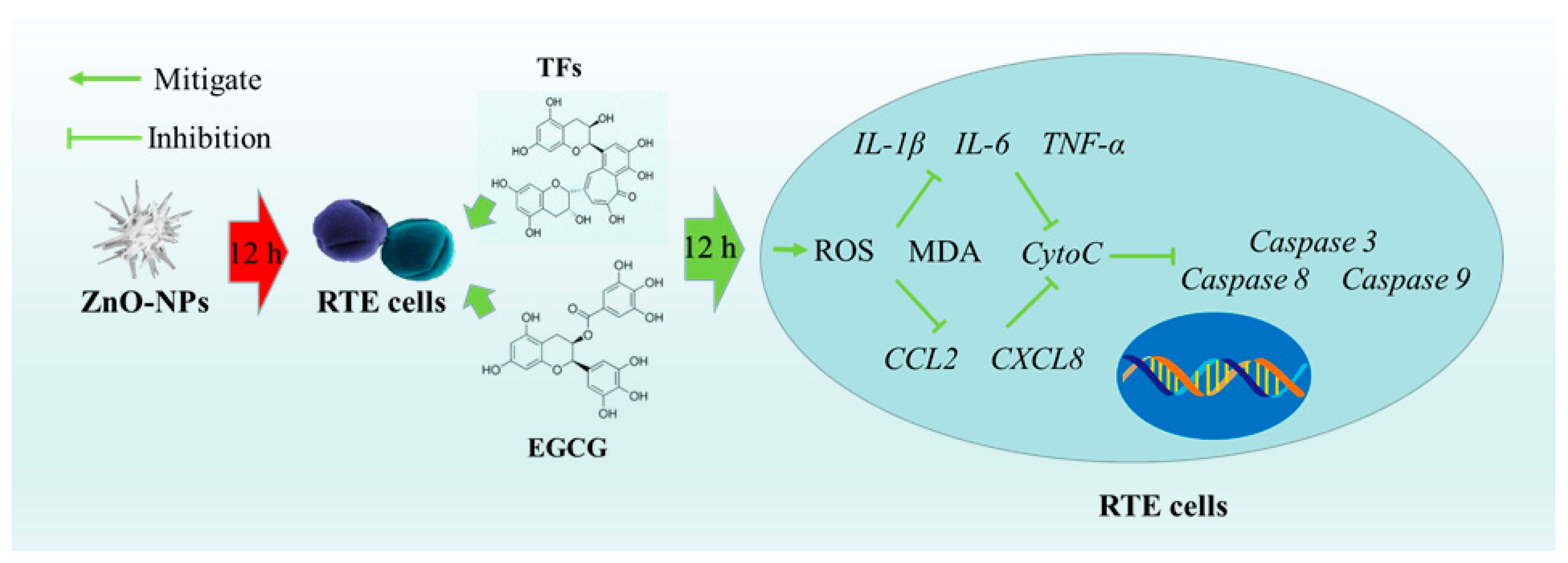 Diversity 14 00756 g006