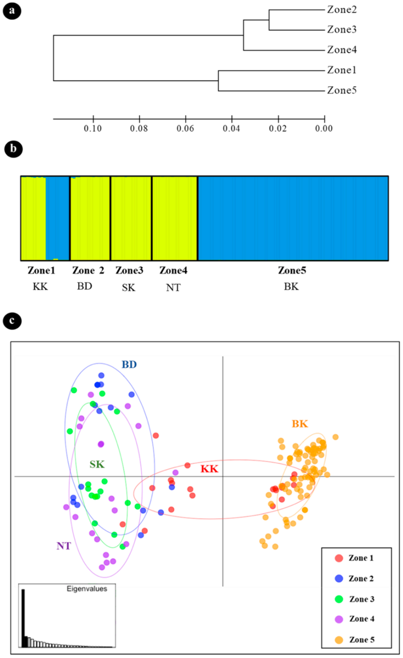 Diversity 14 00764 g001