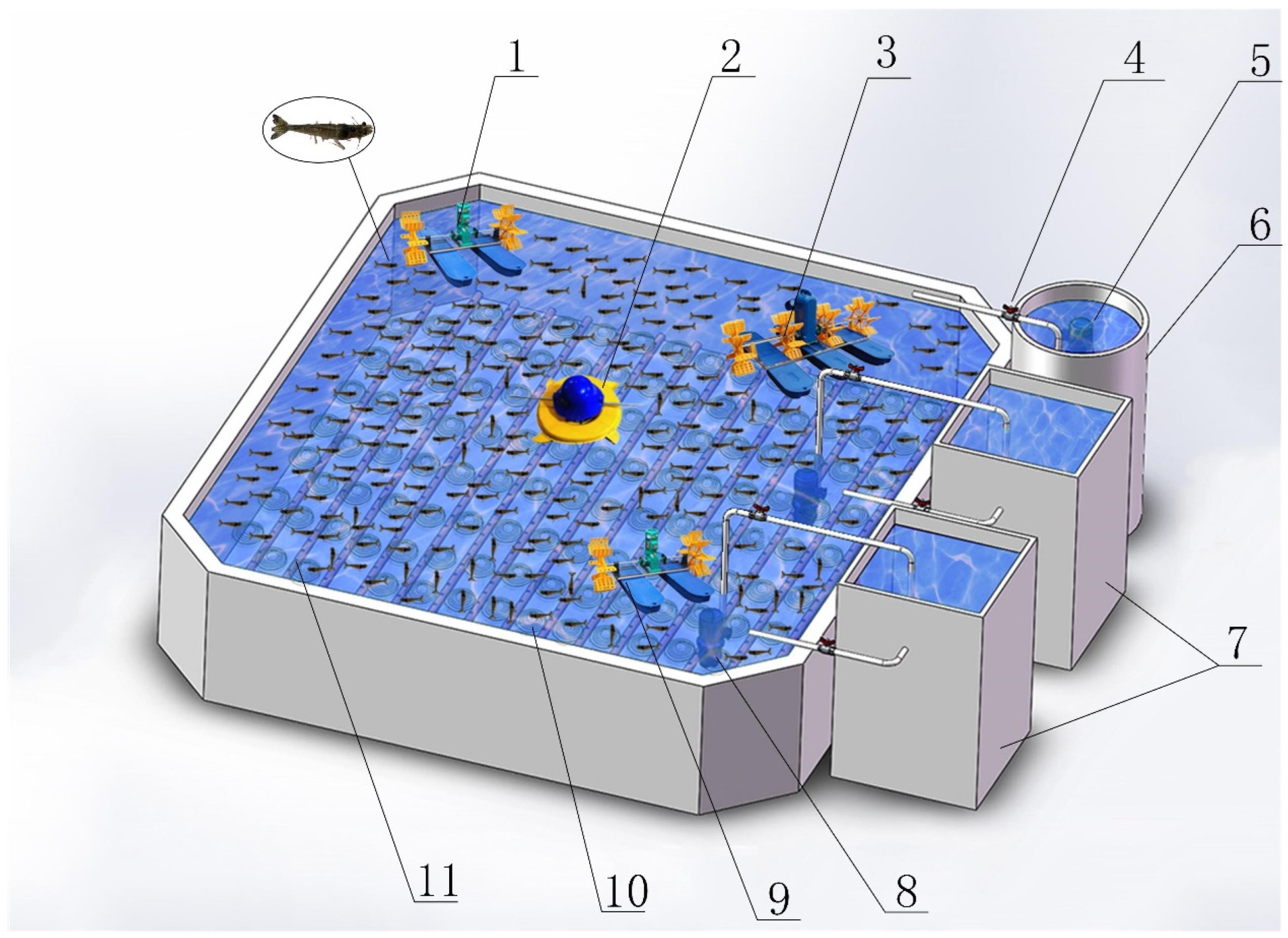 Comparison of proportions of fish biomass in 10 wetland pools