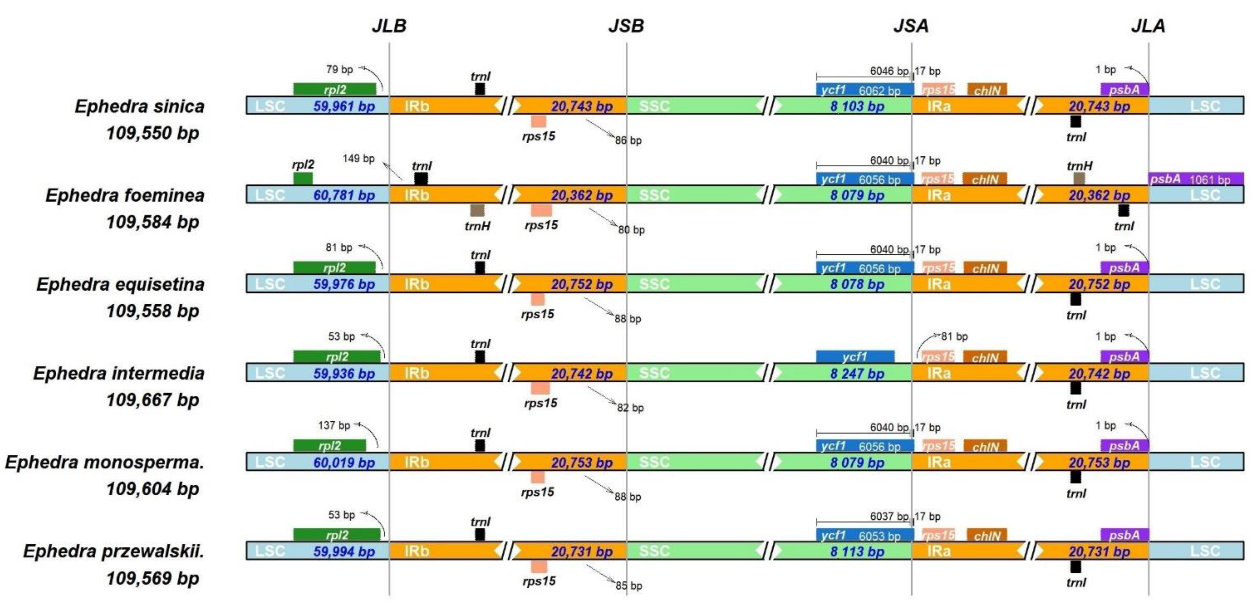 Diversity 14 00792 g006