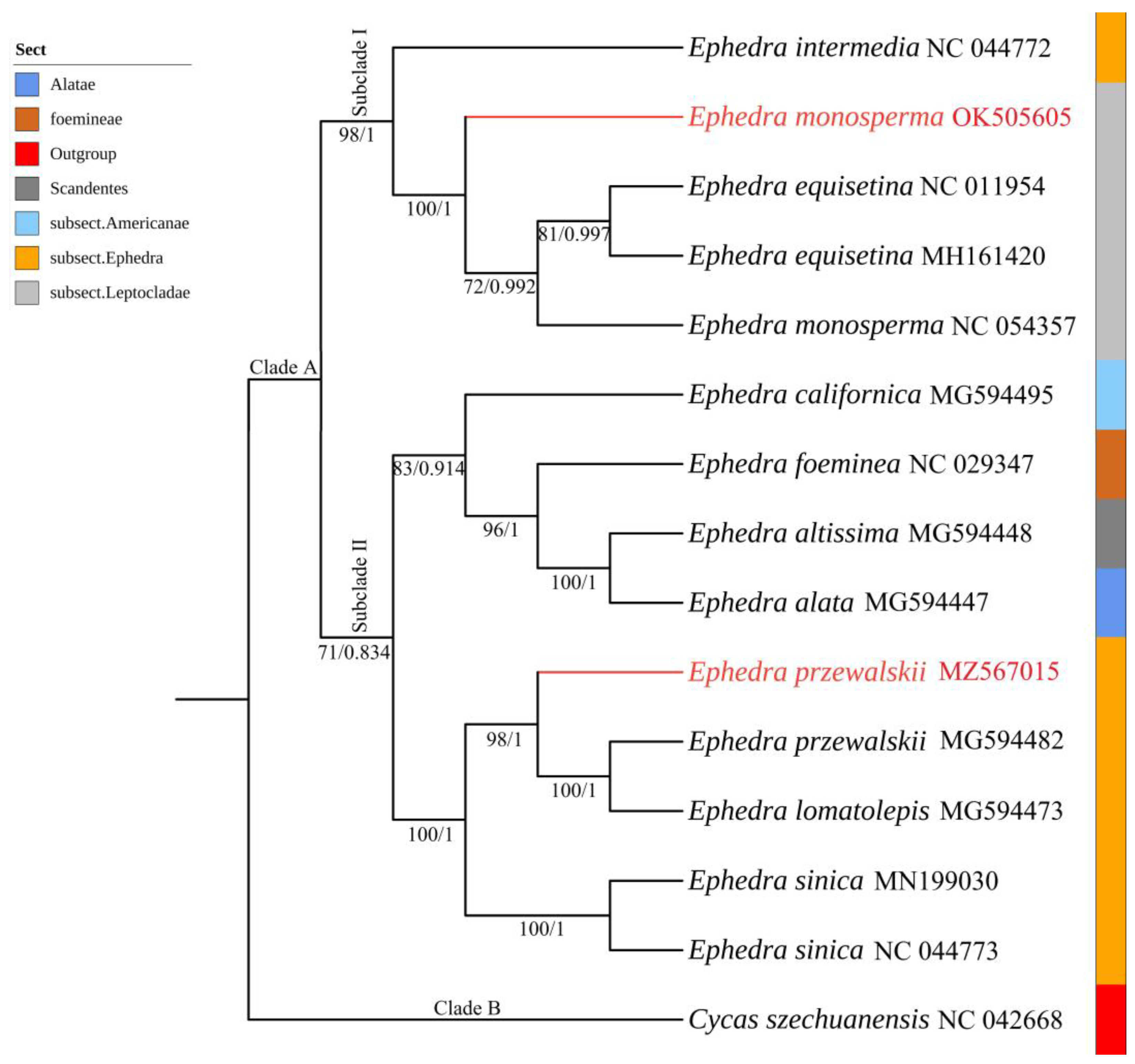 Diversity 14 00792 g008