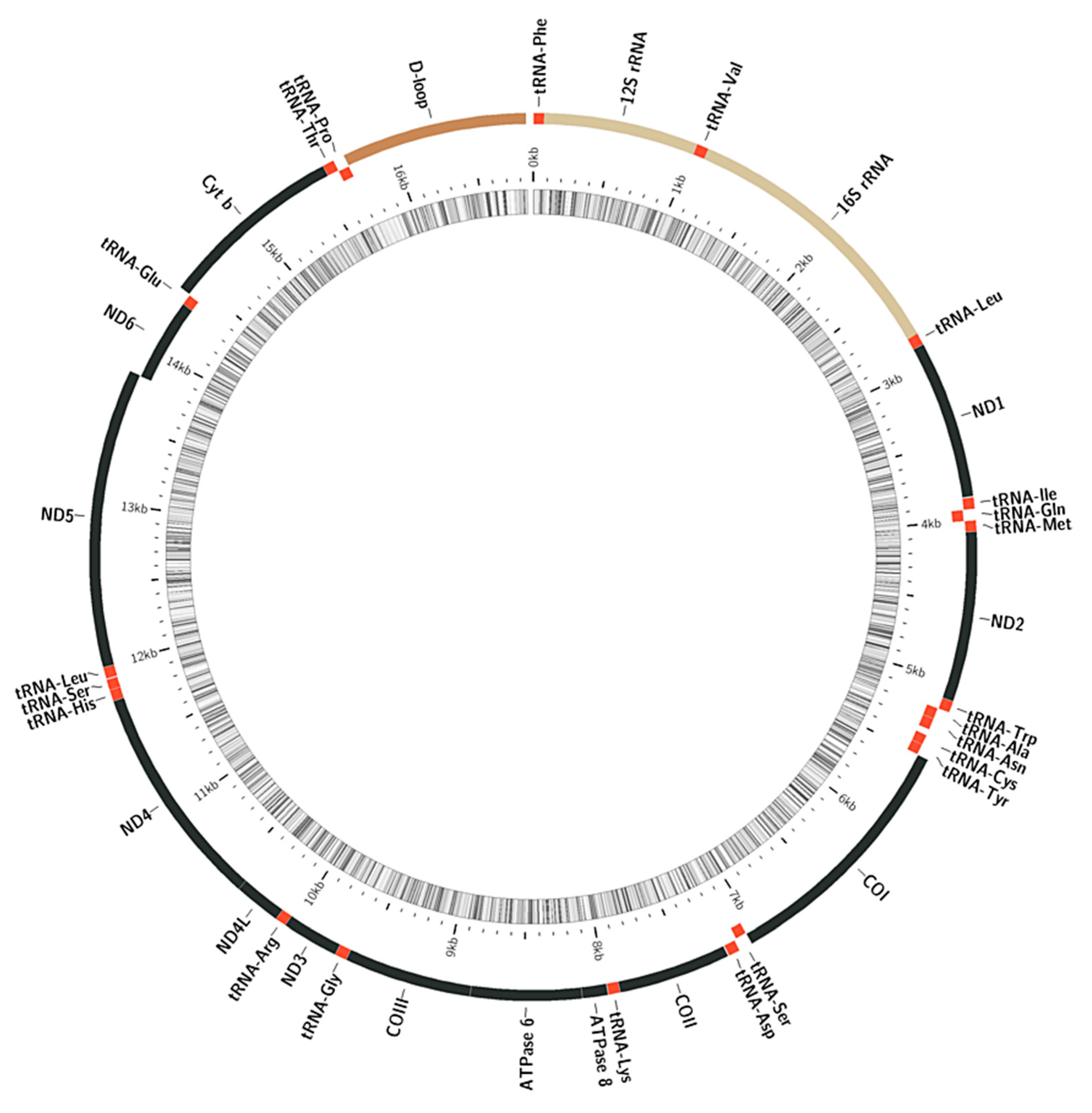 Diversity 14 00805 g001