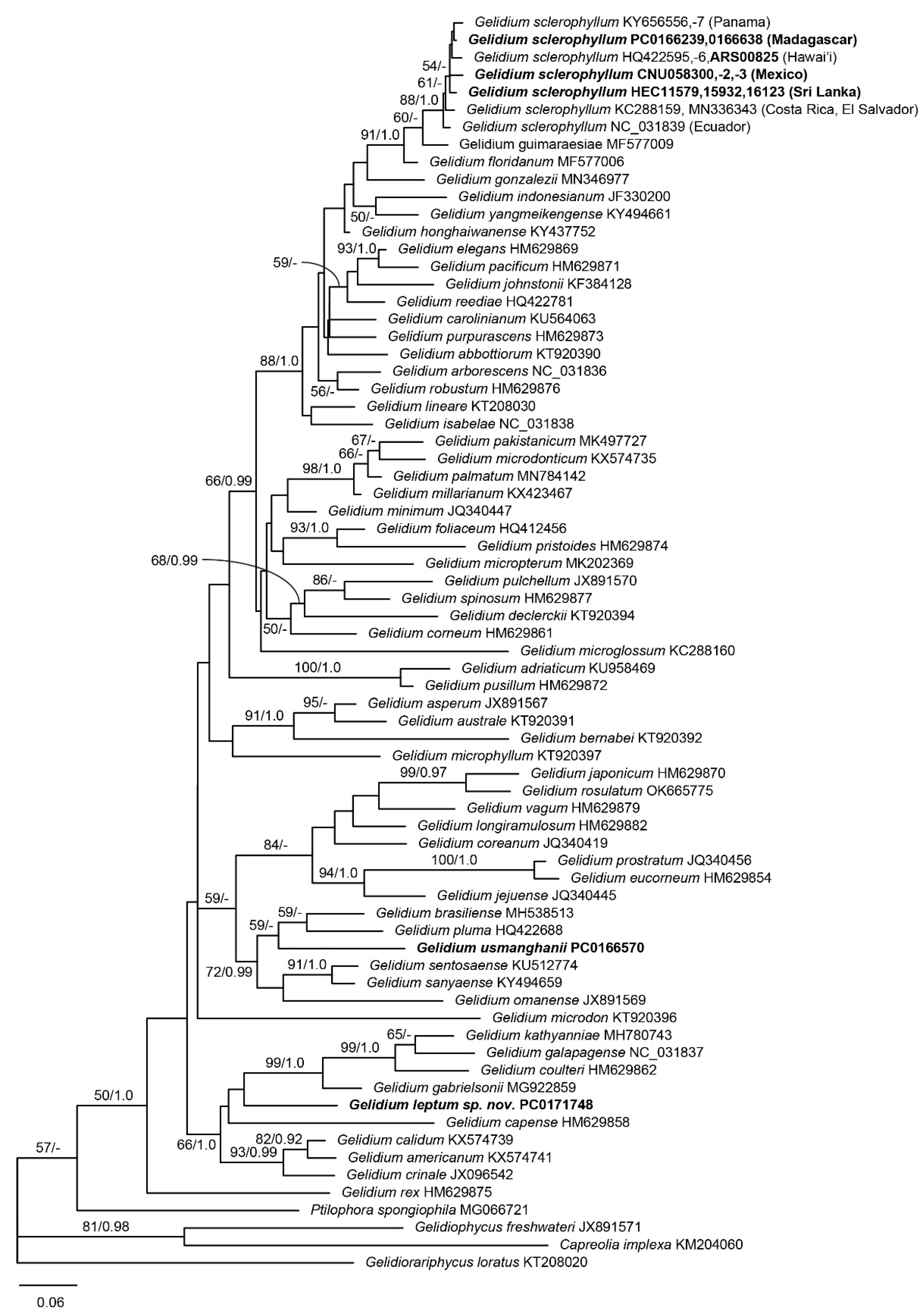 Diversity 14 00826 g002 Diversity 14 00826 g002