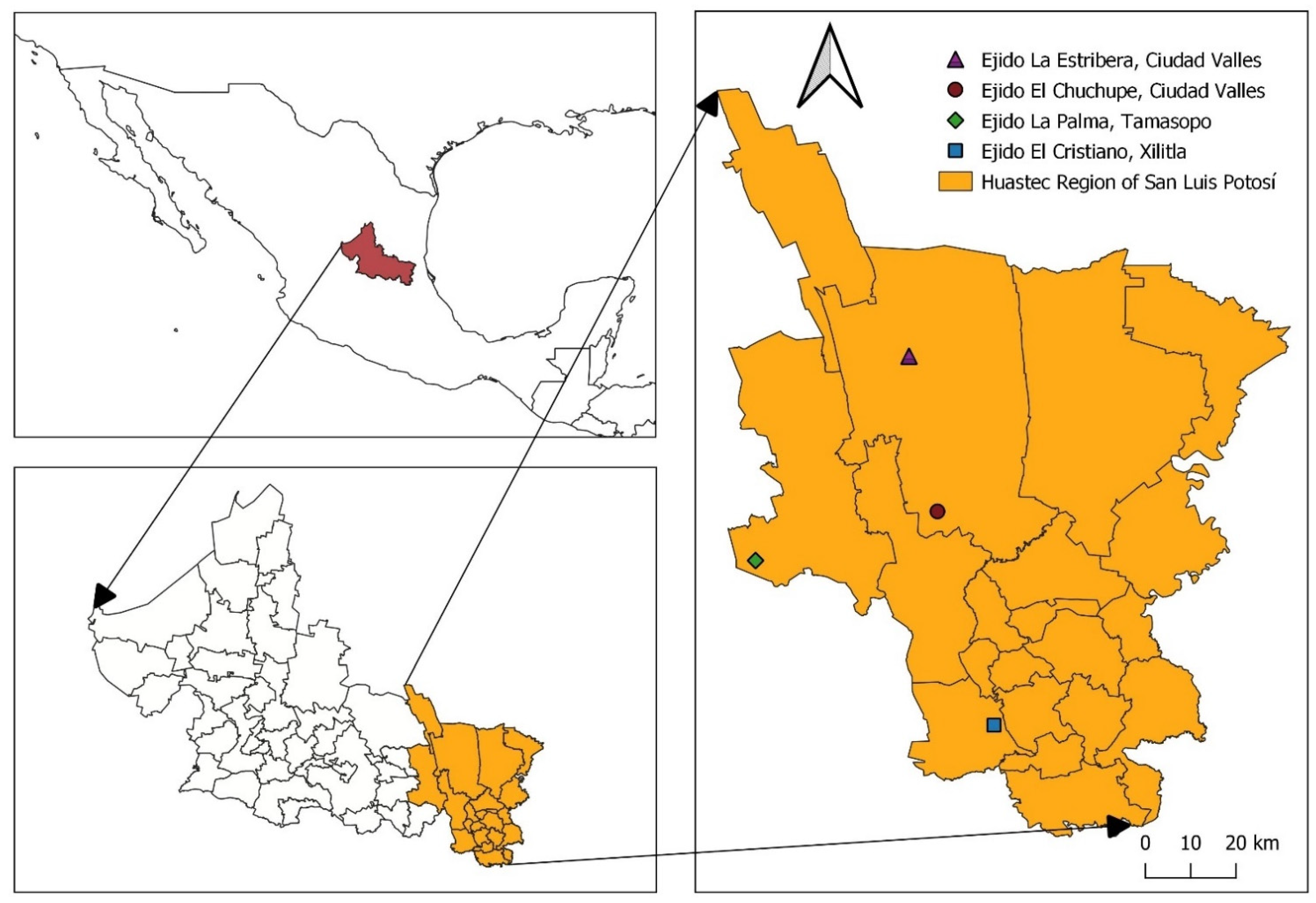 Diversity | Free Full-Text | Conservation of Biocultural Diversity in the  Huasteca Potosina Region, Mexico