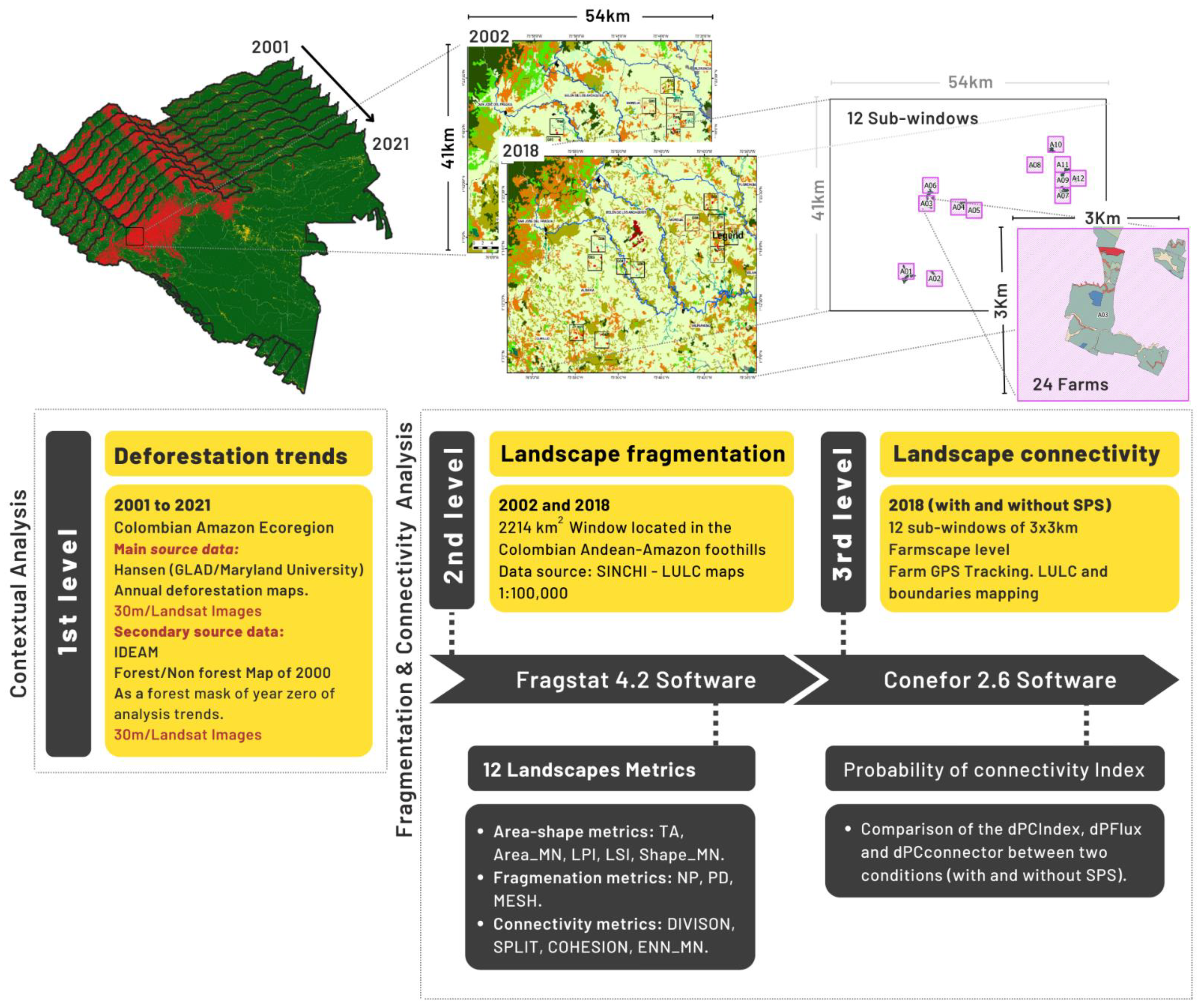 Diversity | Free Full-Text | One Tree at a Time: Restoring Landscape  Connectivity through Silvopastoral Systems in Transformed Amazon Landscapes