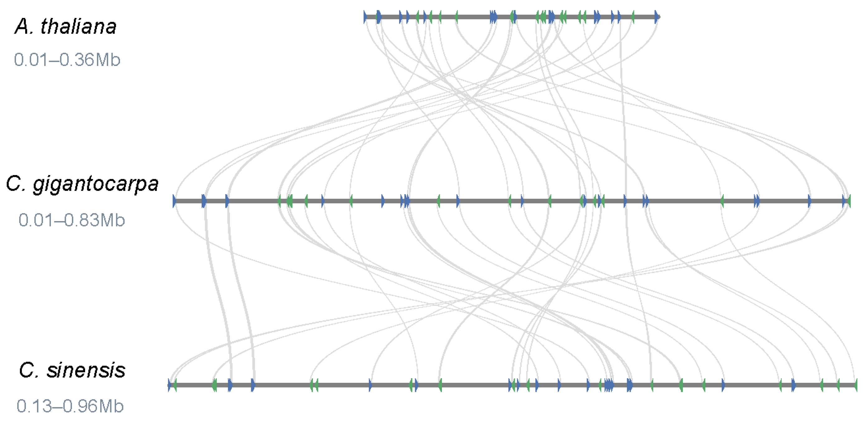 Diversity 14 00850 g004