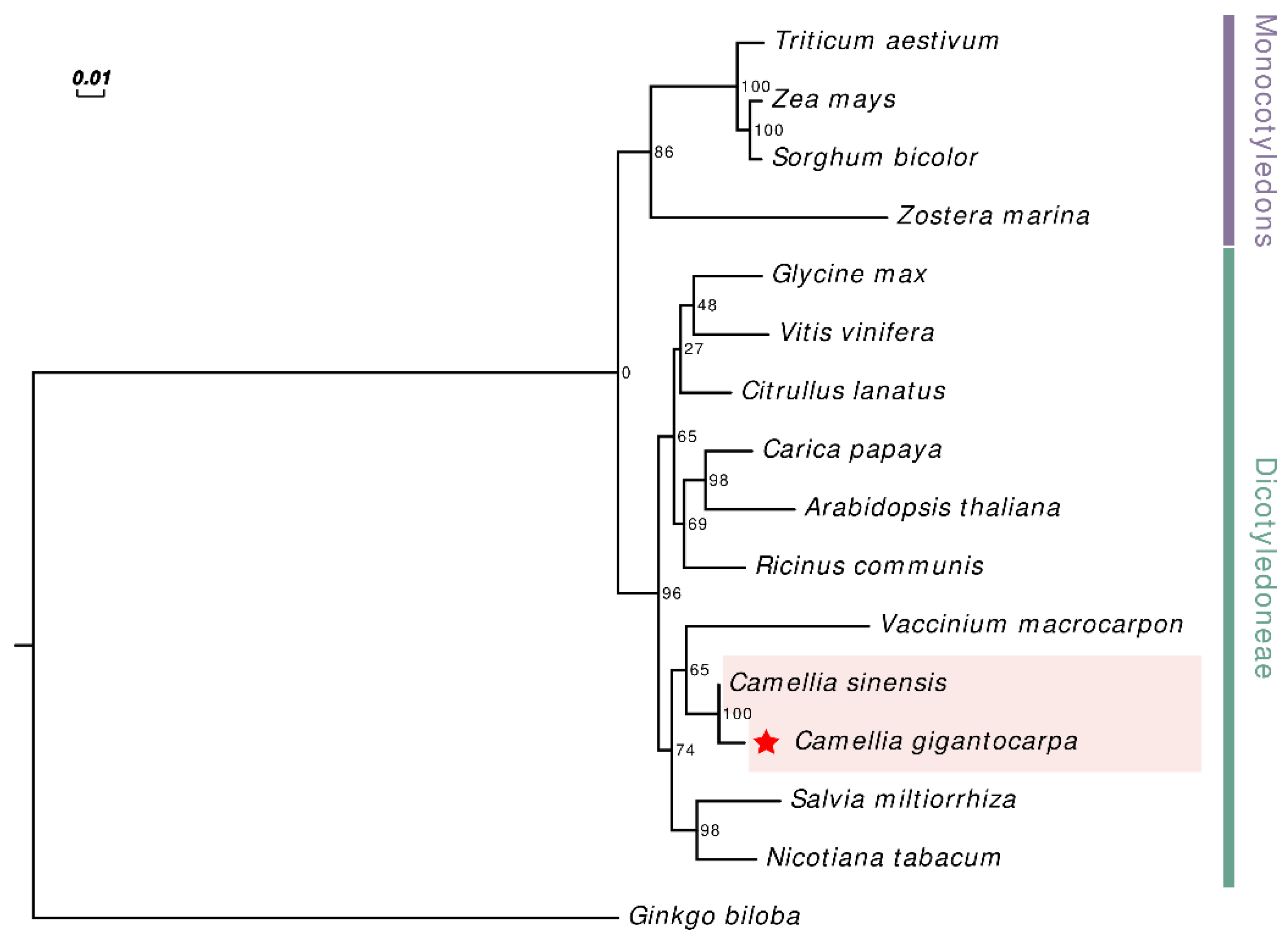 Diversity 14 00850 g006