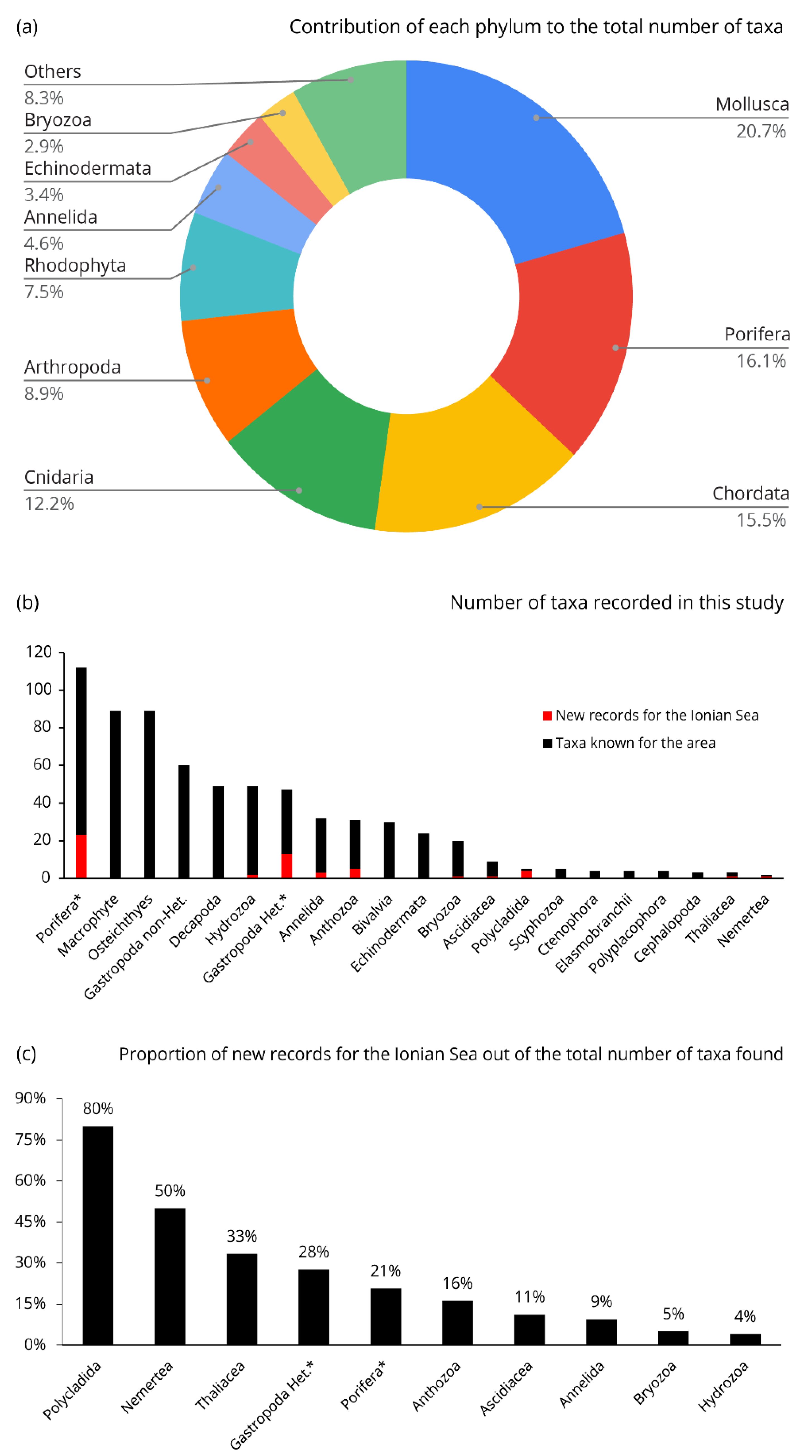 Diversity | Free Full-Text | Project “Biodiversity MARE Tricase”: A