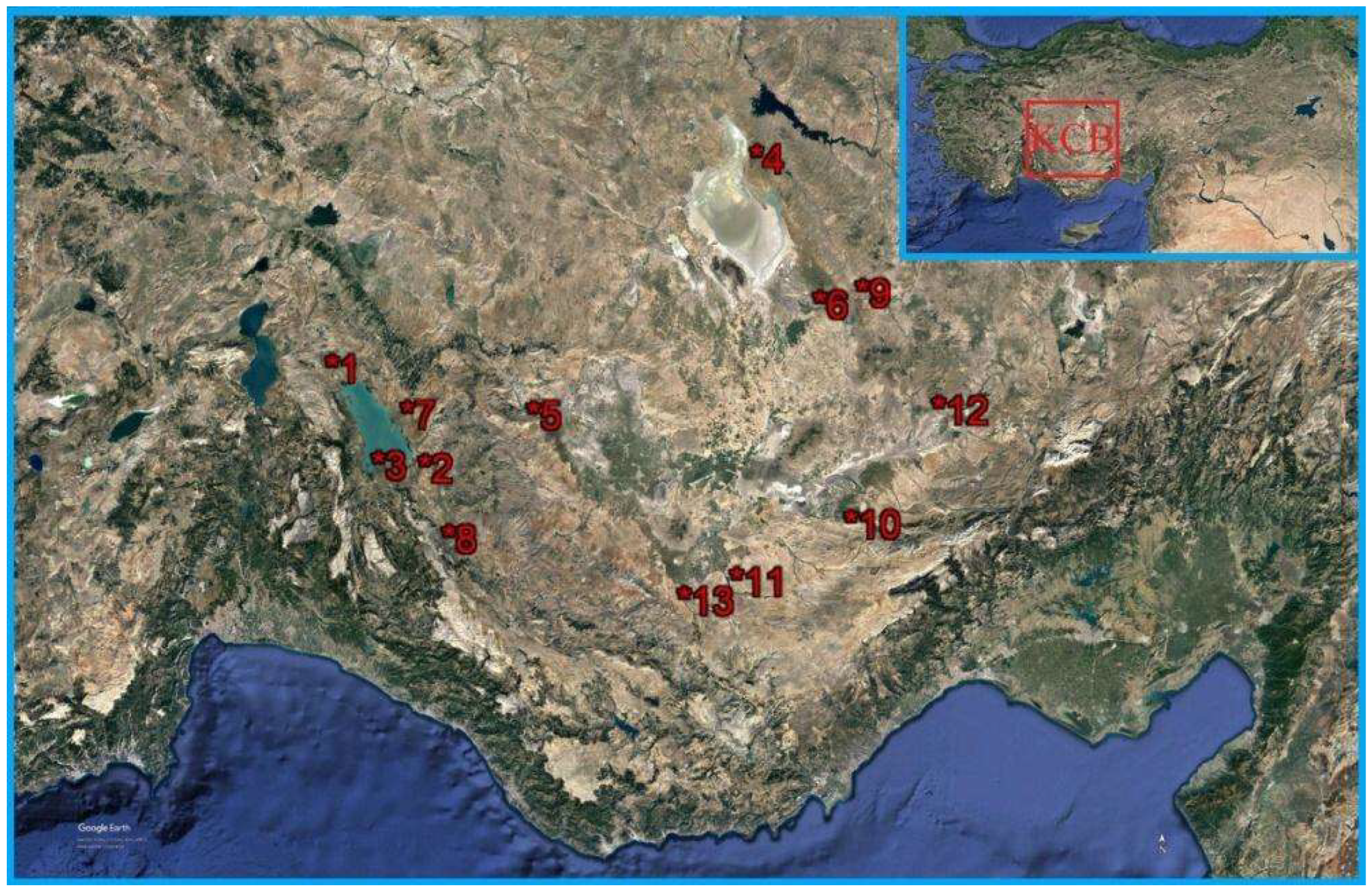 Diversity 14 00934 g001 Diversity 14 00934 g001