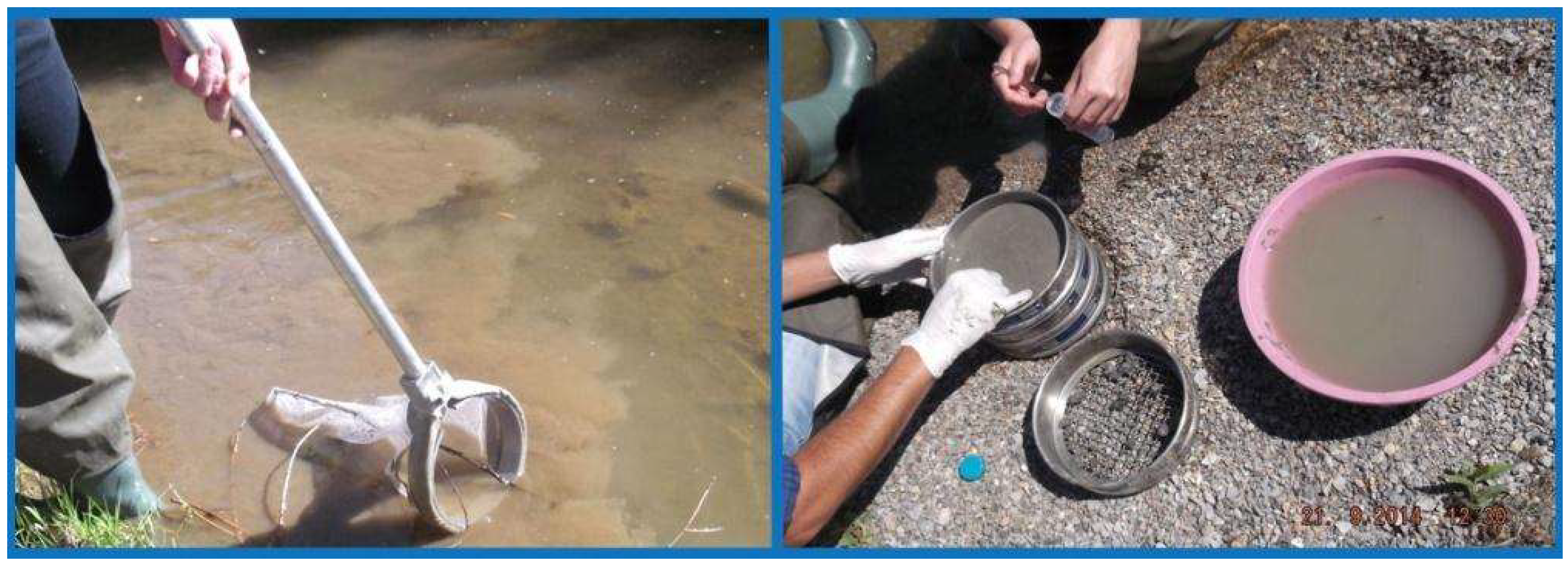 Diversity 14 00934 g002 Diversity 14 00934 g002