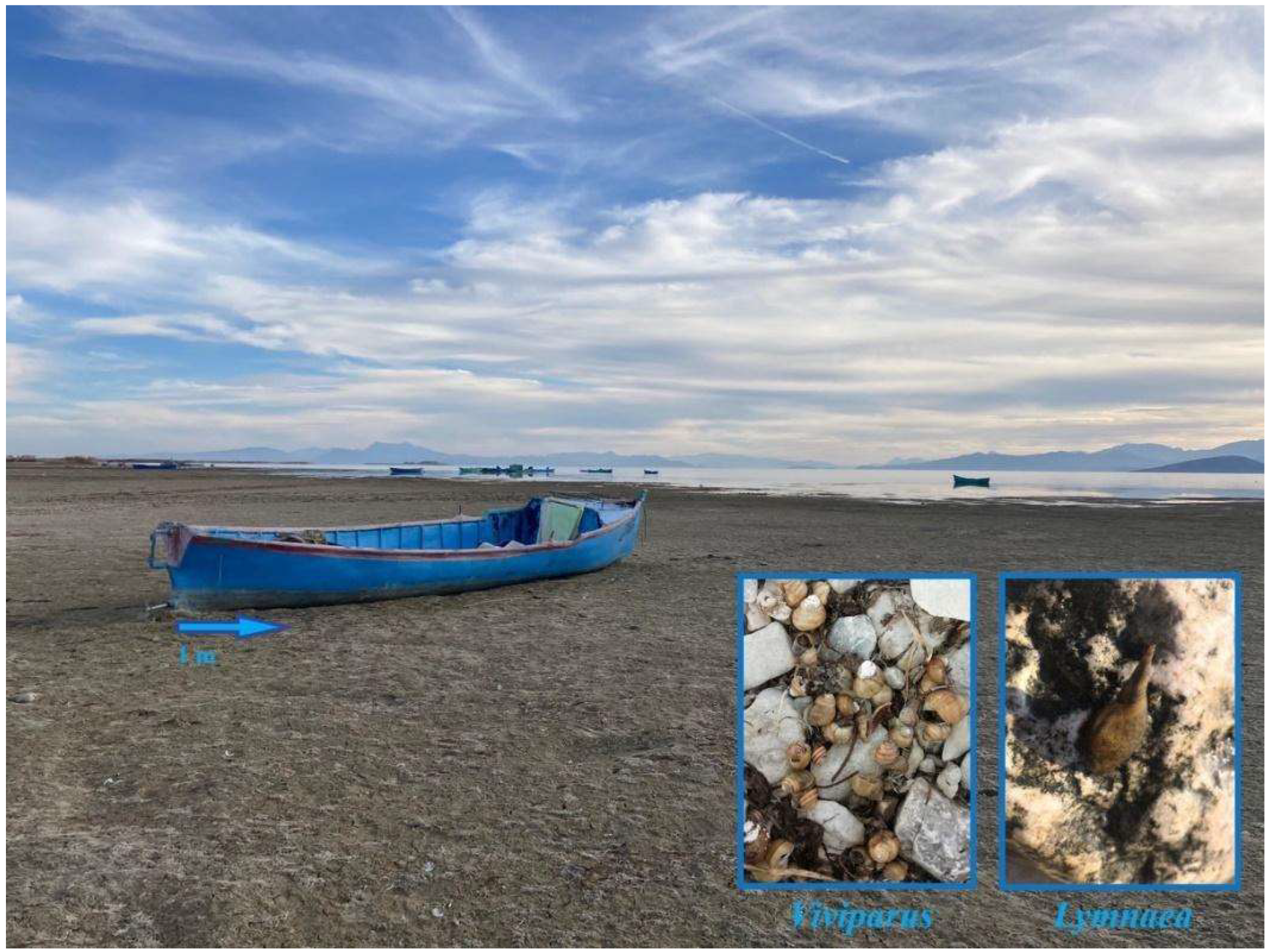 Diversity 14 00934 g009 Diversity 14 00934 g009