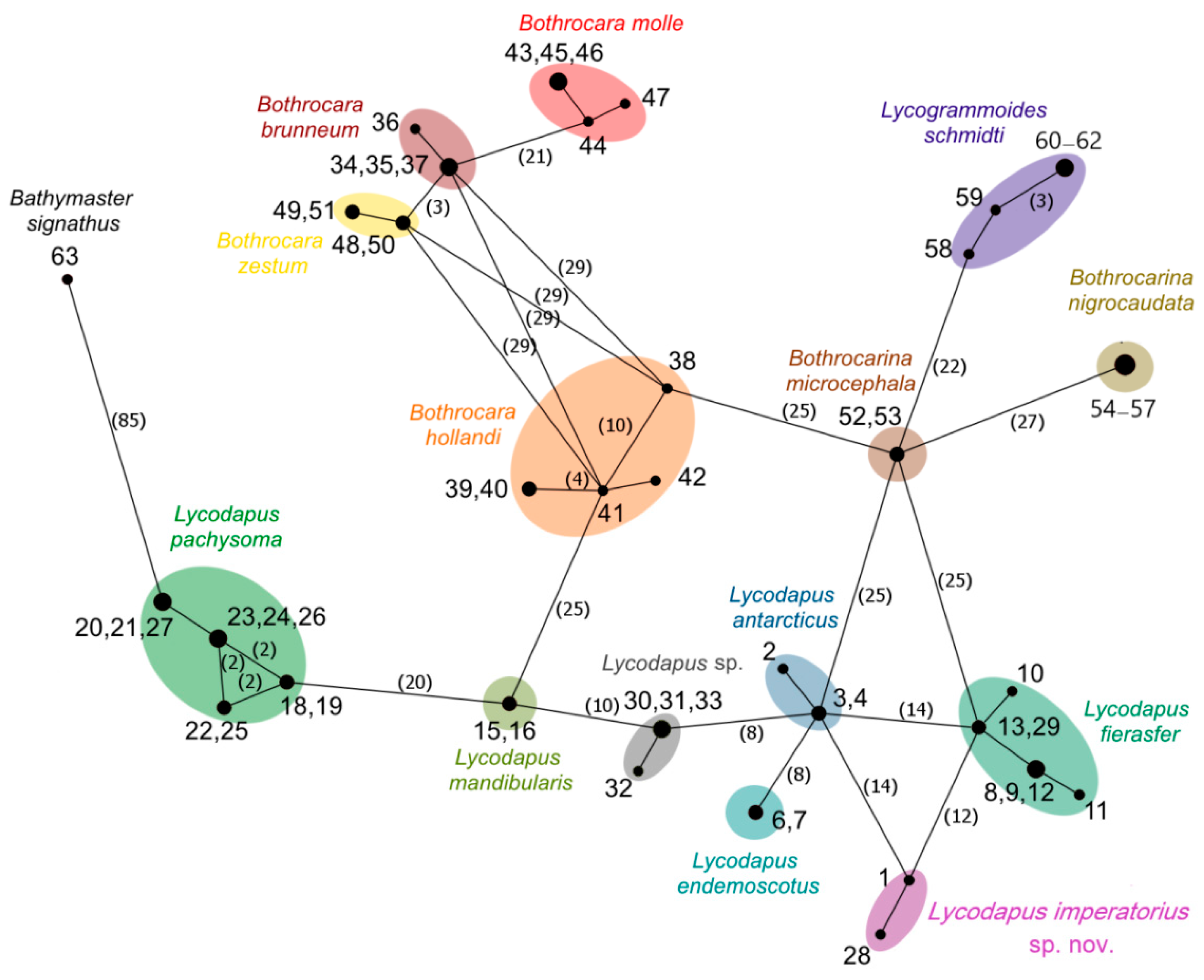 Diversity 14 00972 g003 Diversity 14 00972 g003