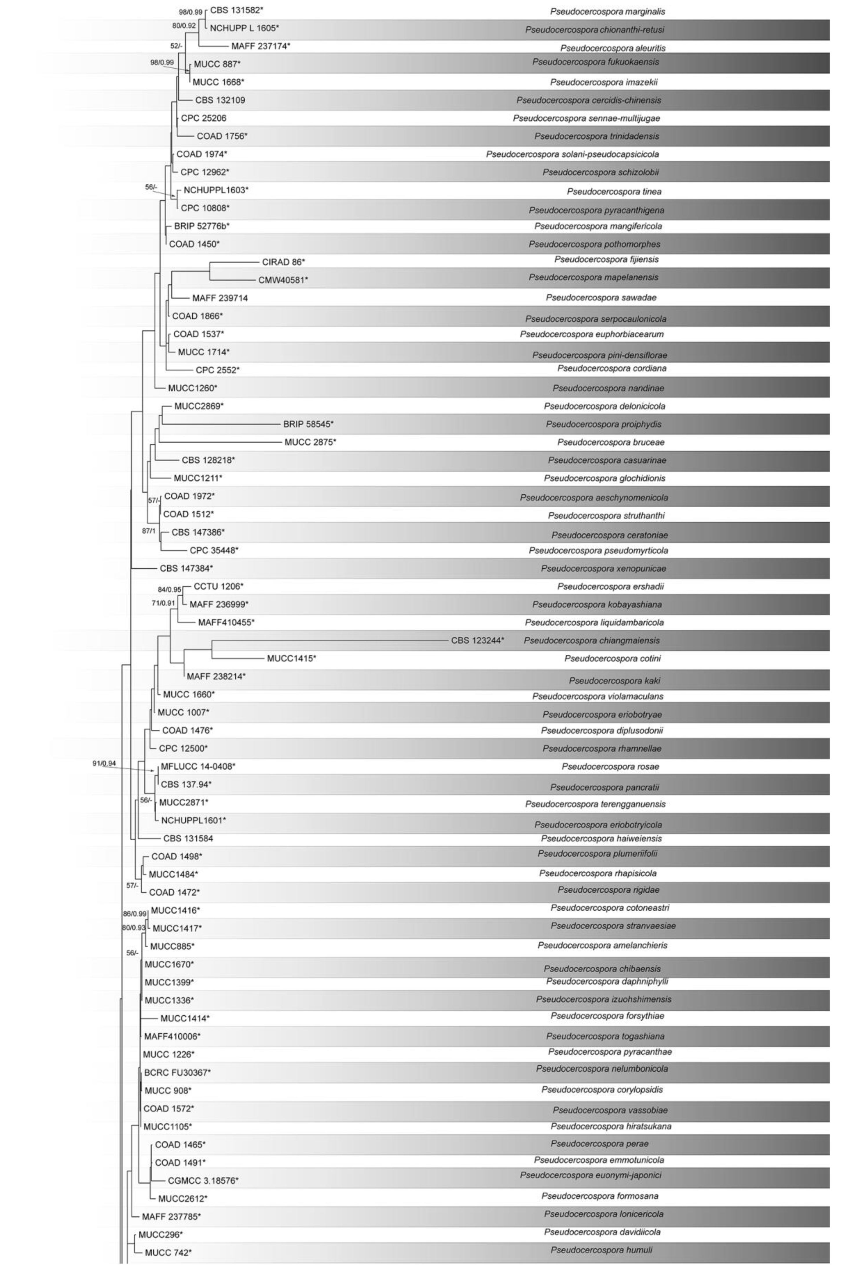 Diversity 14 00990 g002a Diversity 14 00990 g002a