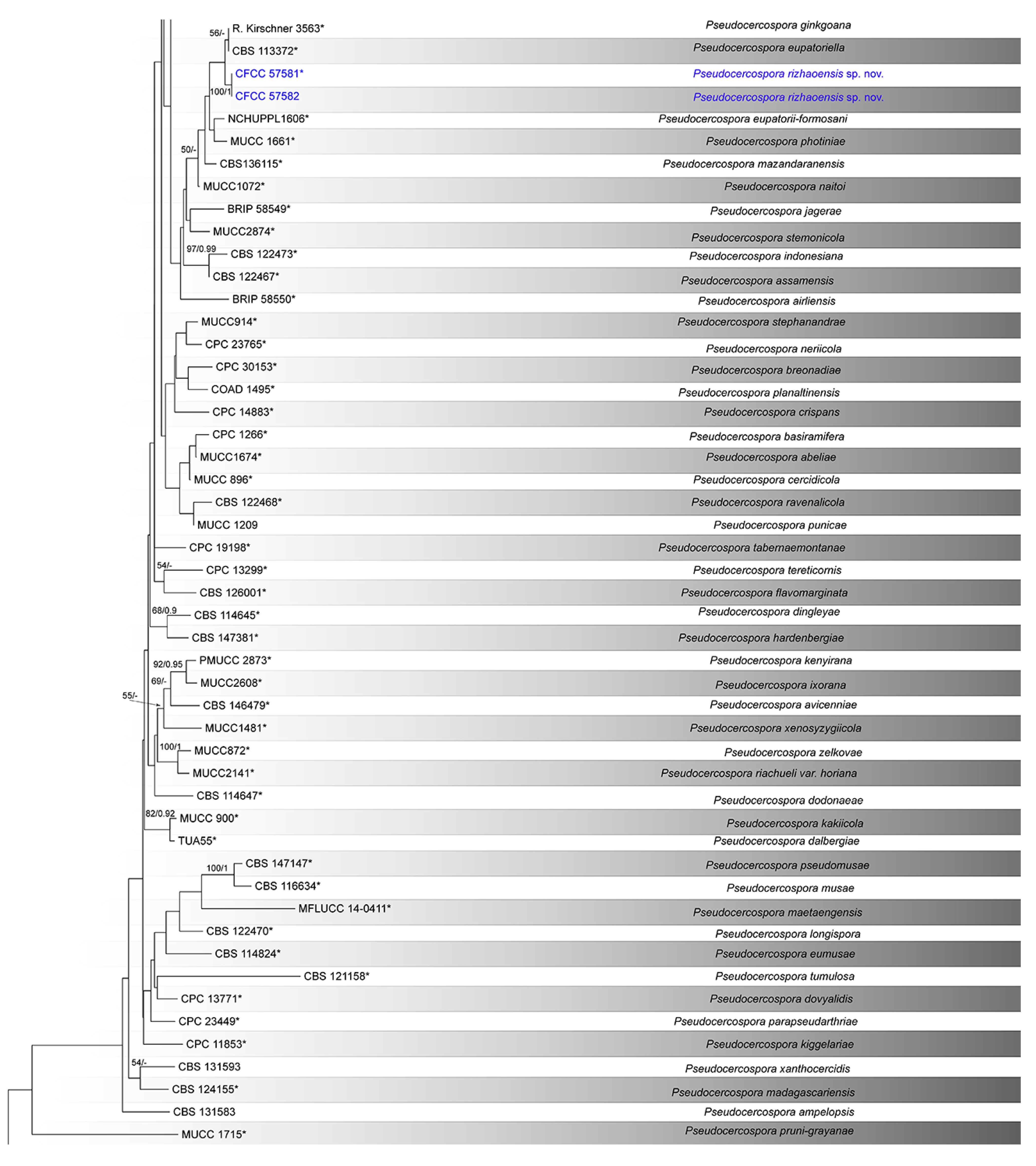 Diversity 14 00990 g002b Diversity 14 00990 g002b