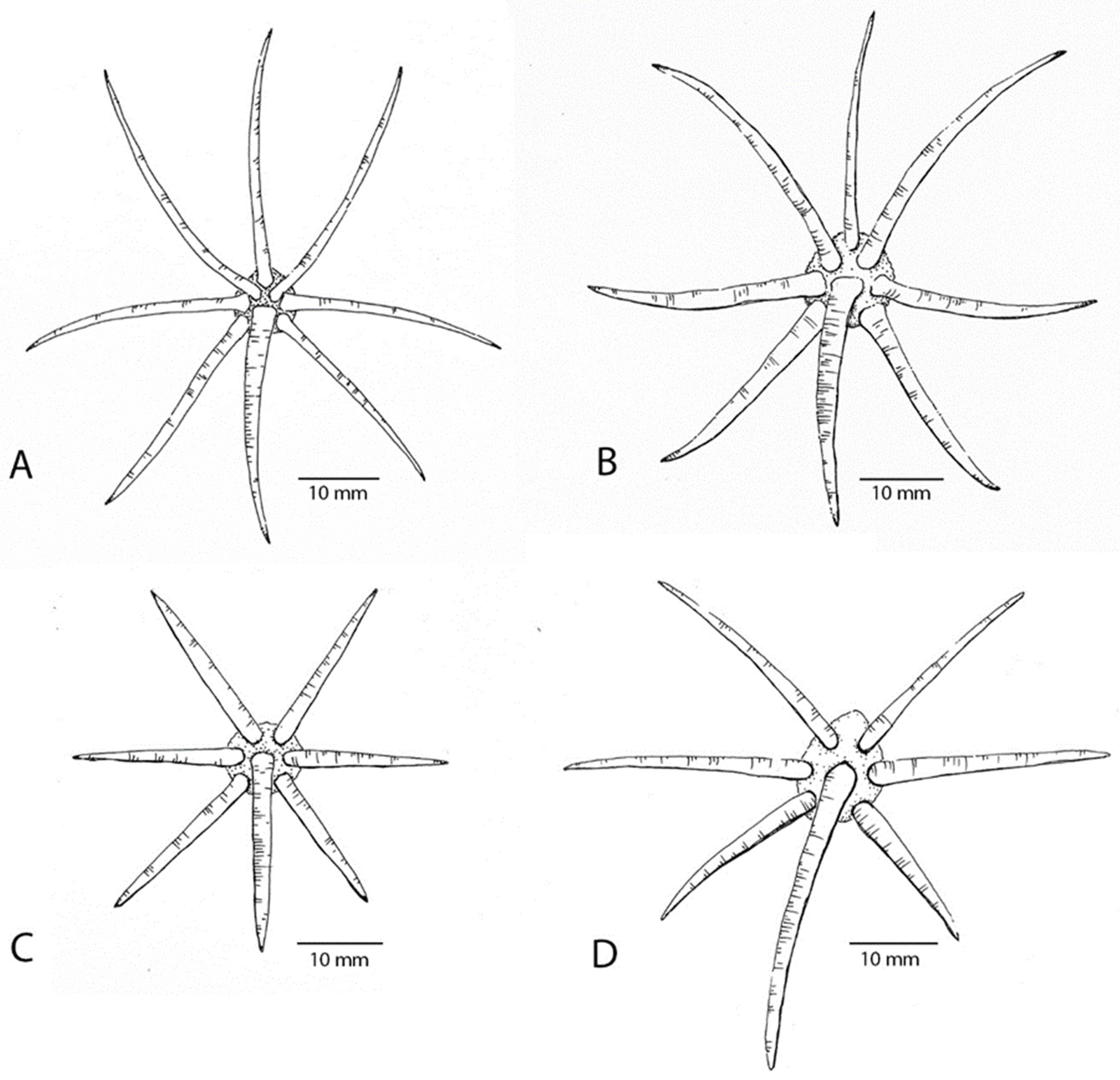 Diversity 14 01020 g005 Diversity 14 01020 g005