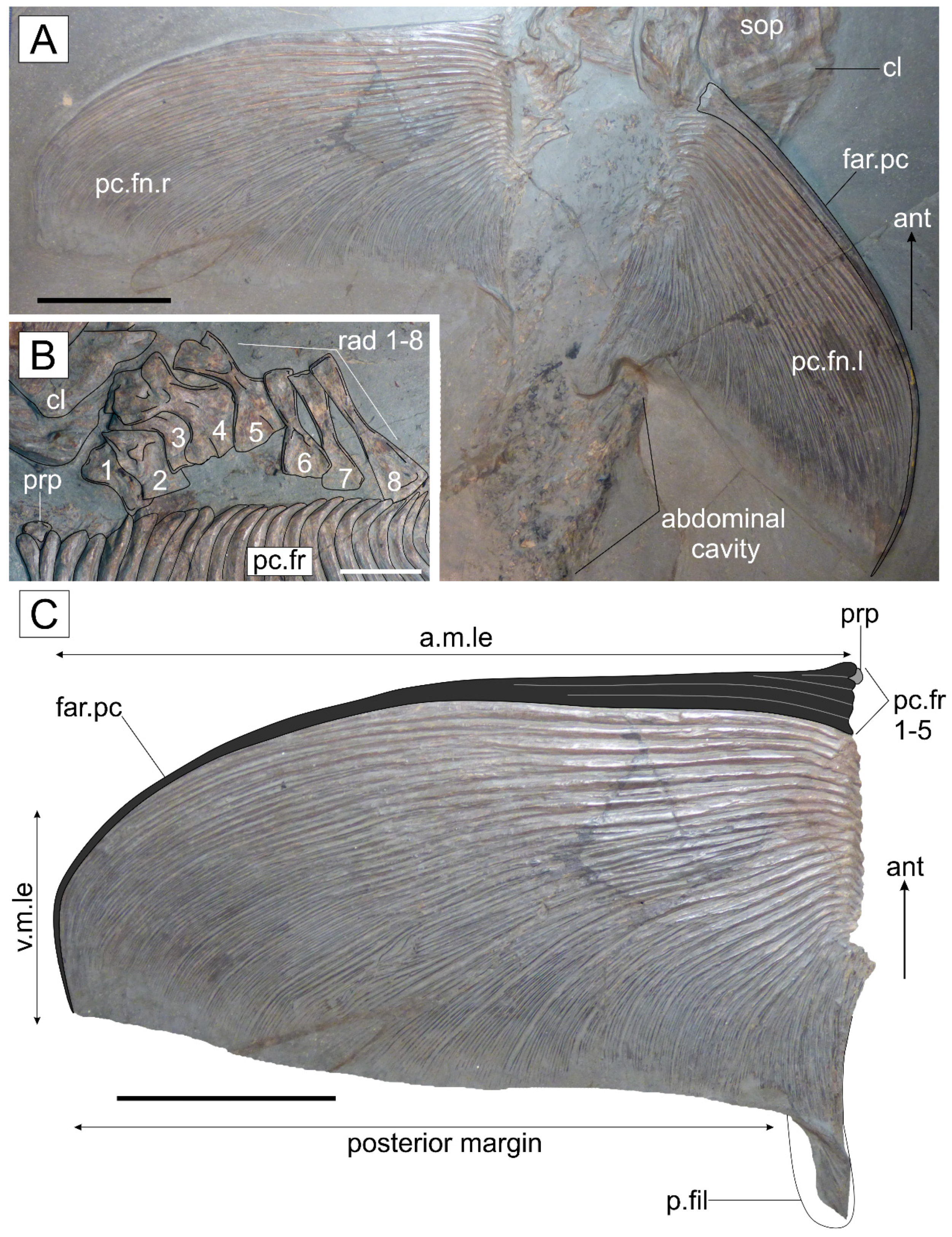 Diversity 14 01026 g006