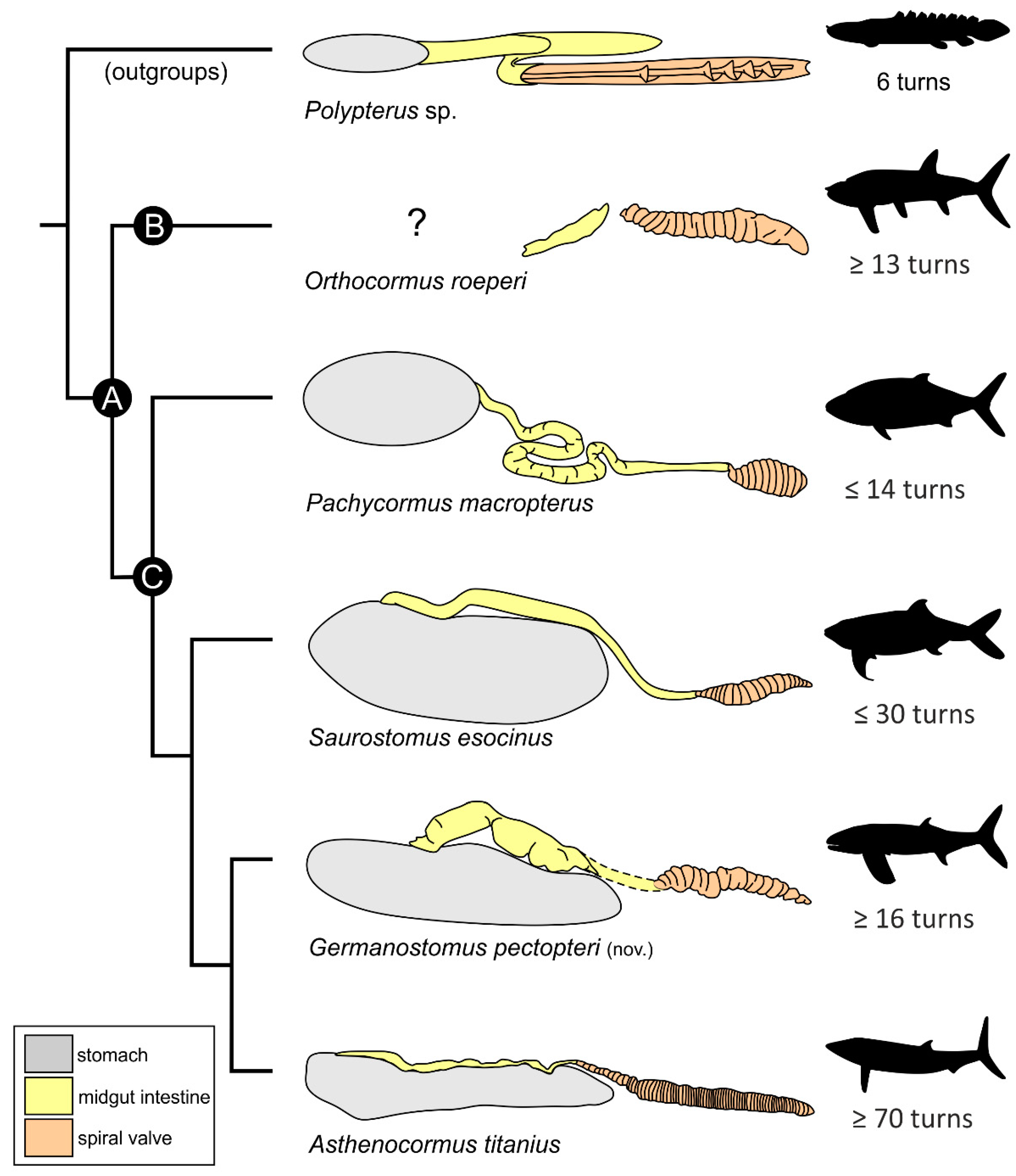 Diversity 14 01026 g010