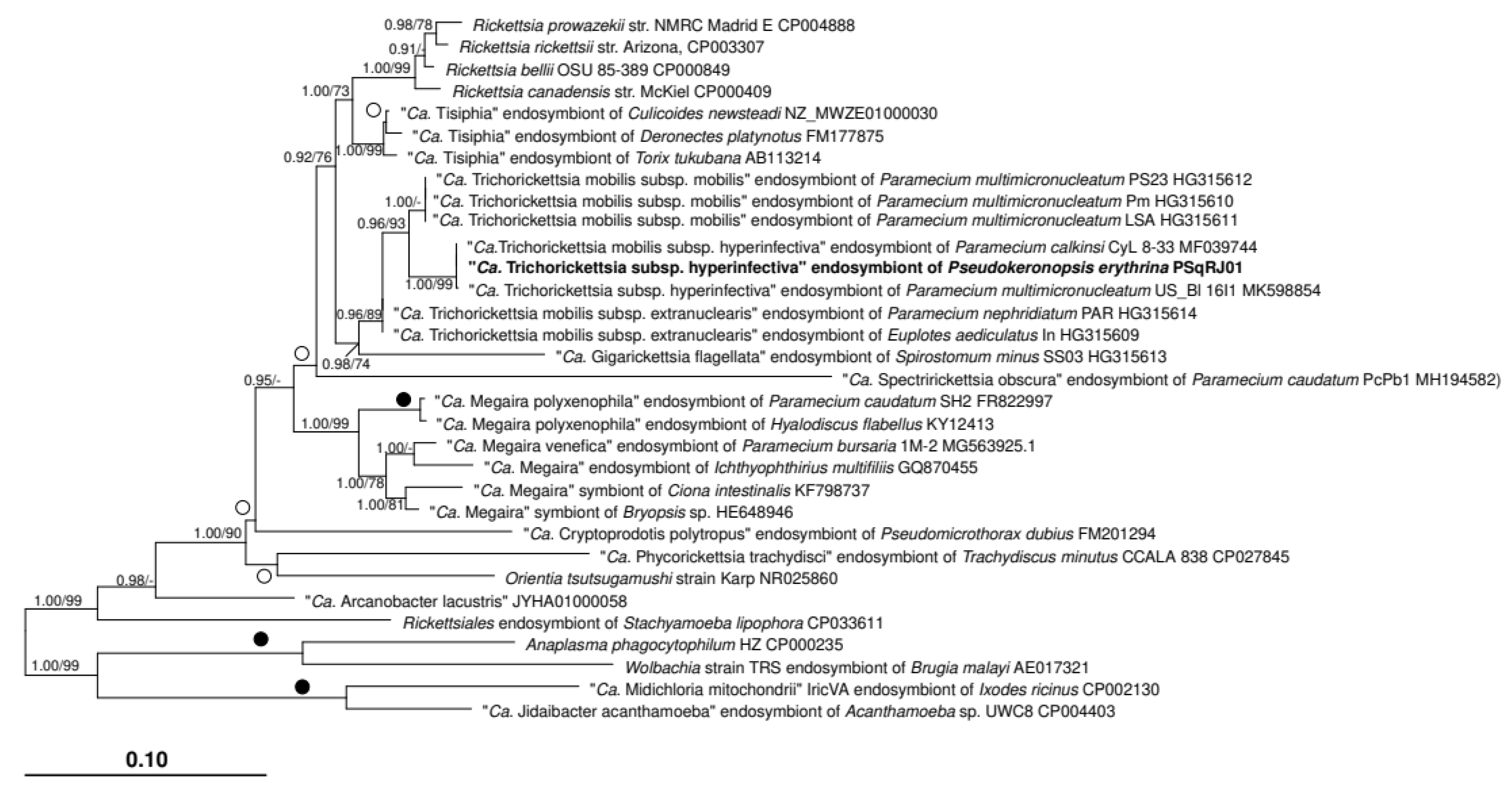 Diversity 14 01032 g004