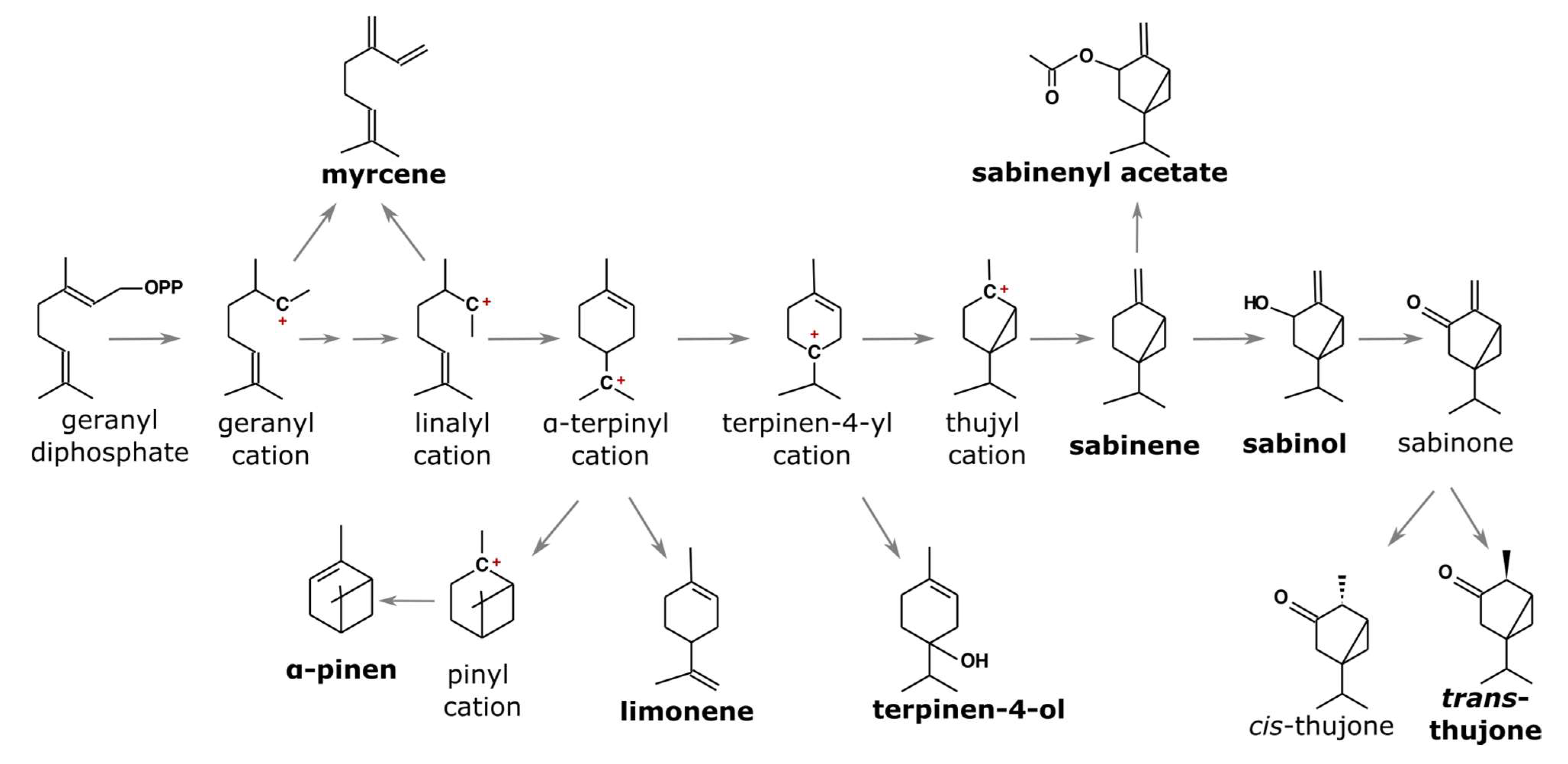 Diversity 14 01062 g001