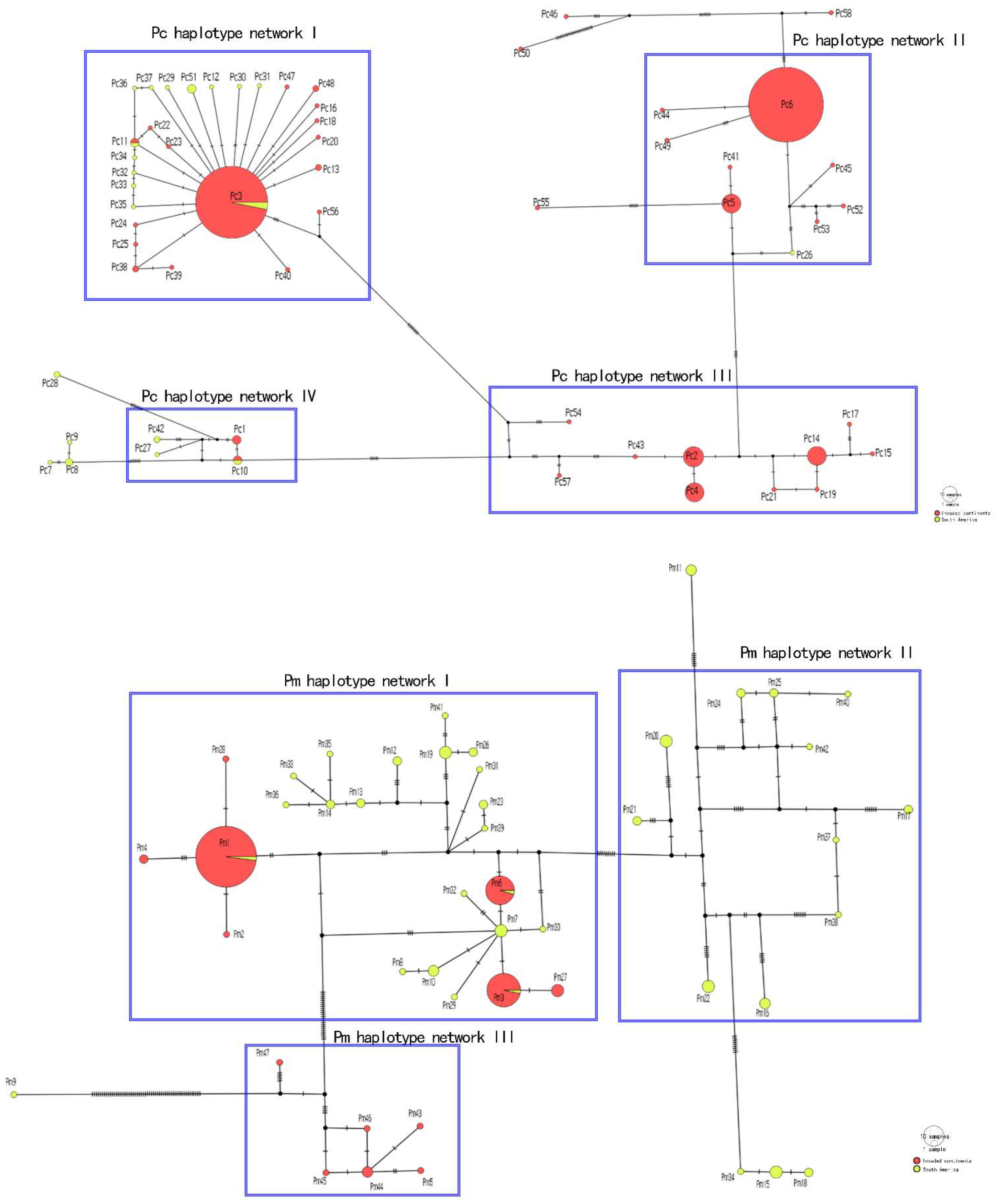 Diversity 14 01069 g003 Diversity 14 01069 g003