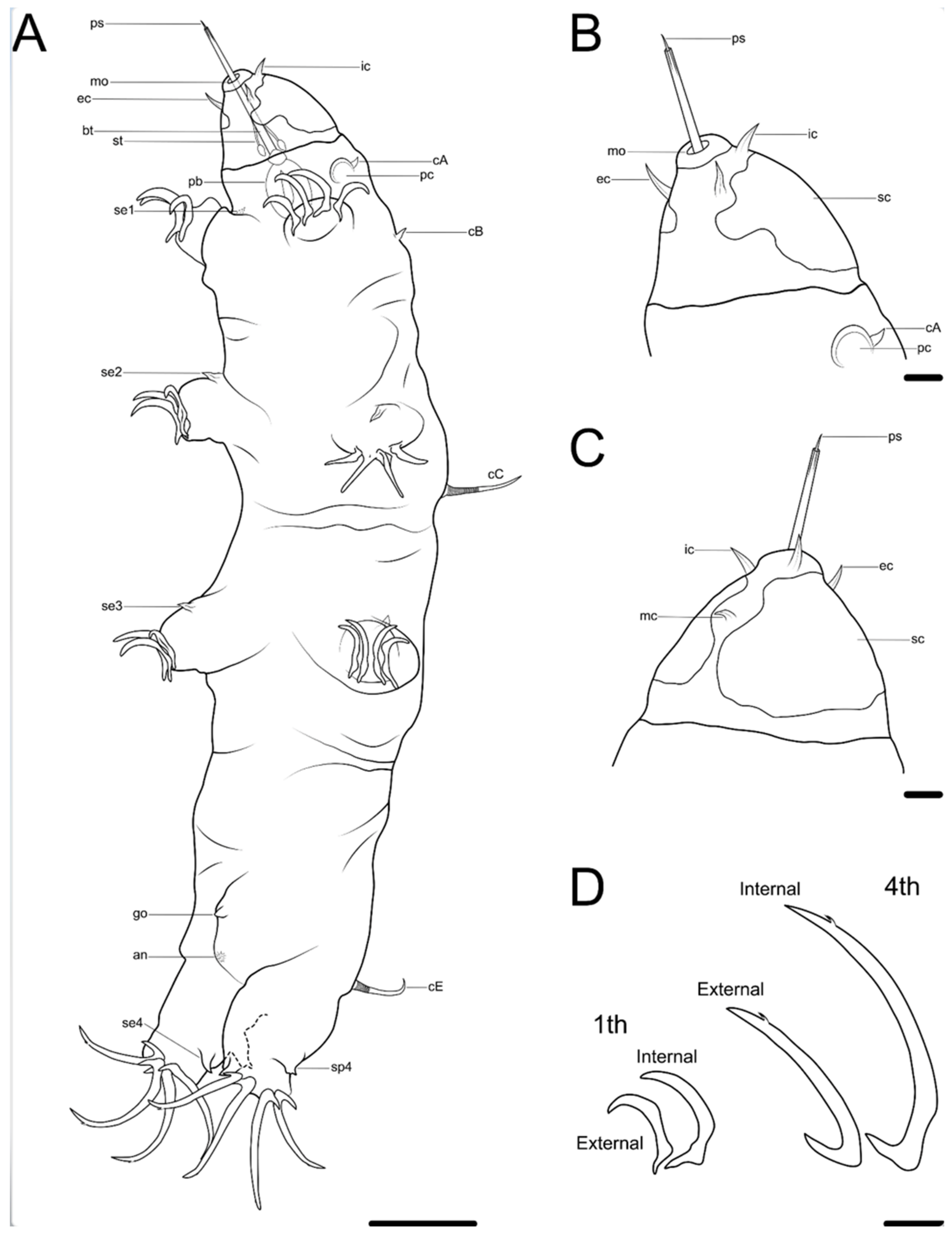 Diversity 14 01086 g002 Diversity 14 01086 g002