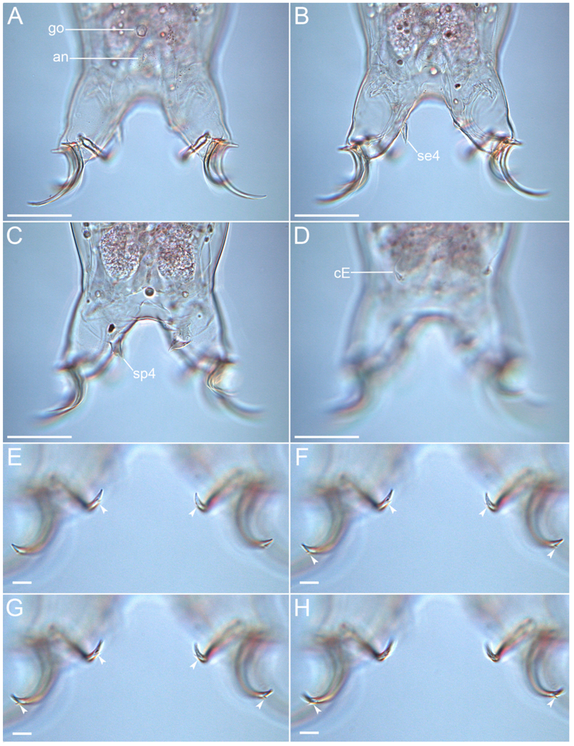 Diversity 14 01086 g010 Diversity 14 01086 g010
