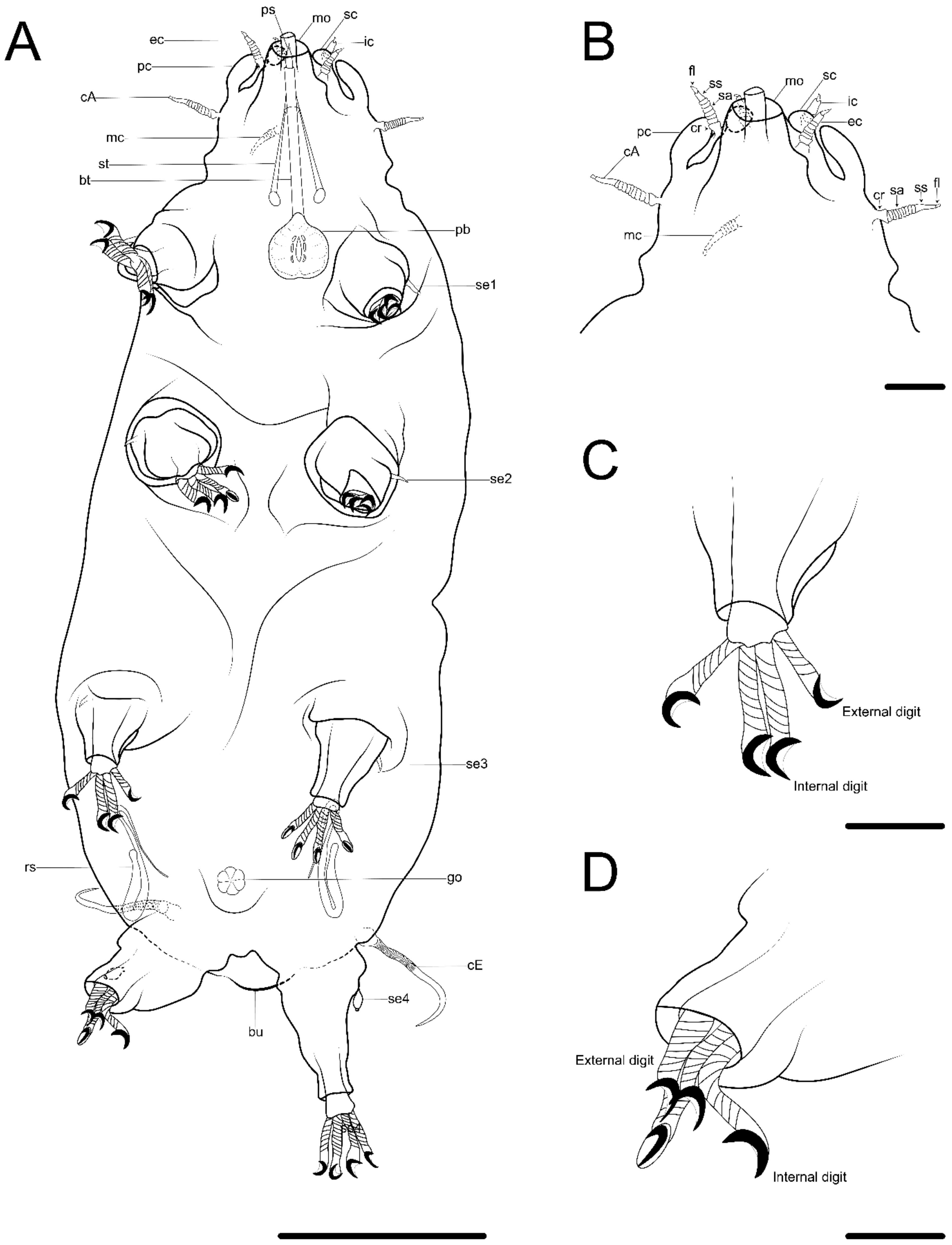 Diversity 14 01086 g011 Diversity 14 01086 g011