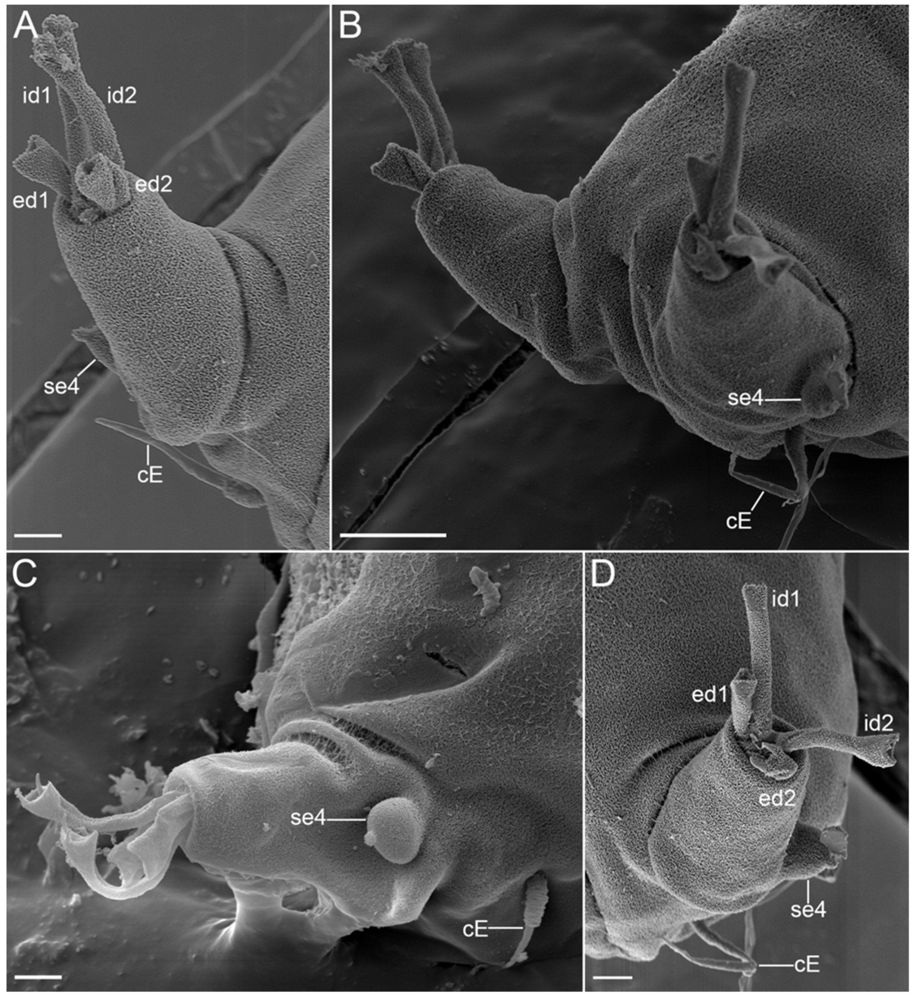 Diversity 14 01086 g029 Diversity 14 01086 g029