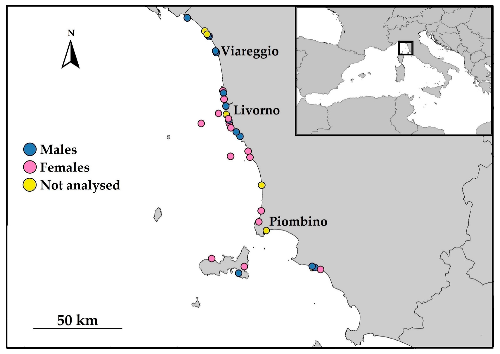 Diversity 15 00021 g001 Diversity 15 00021 g001