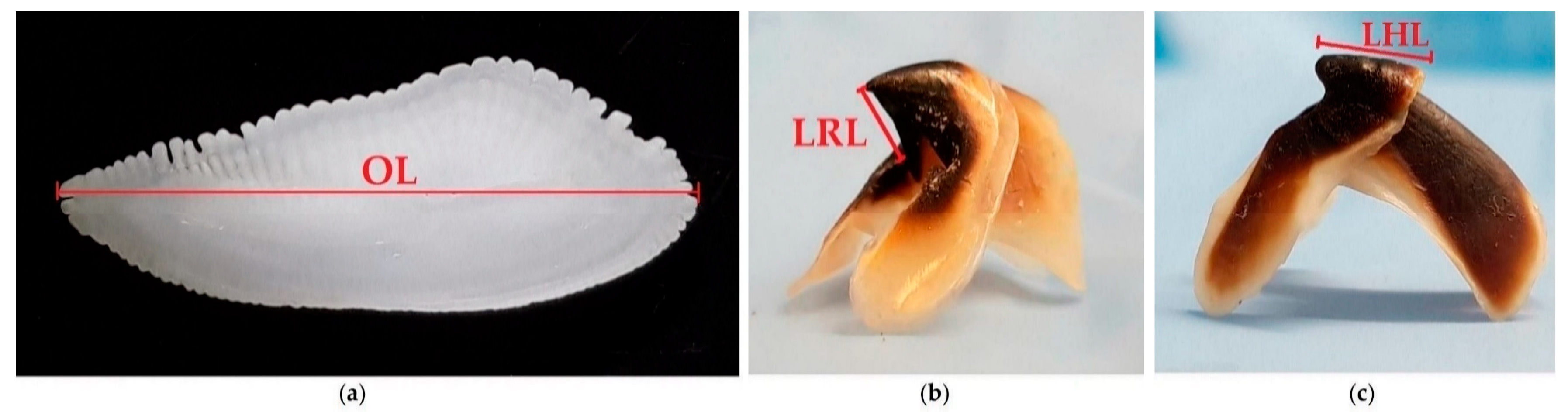 Diversity 15 00021 g002 Diversity 15 00021 g002