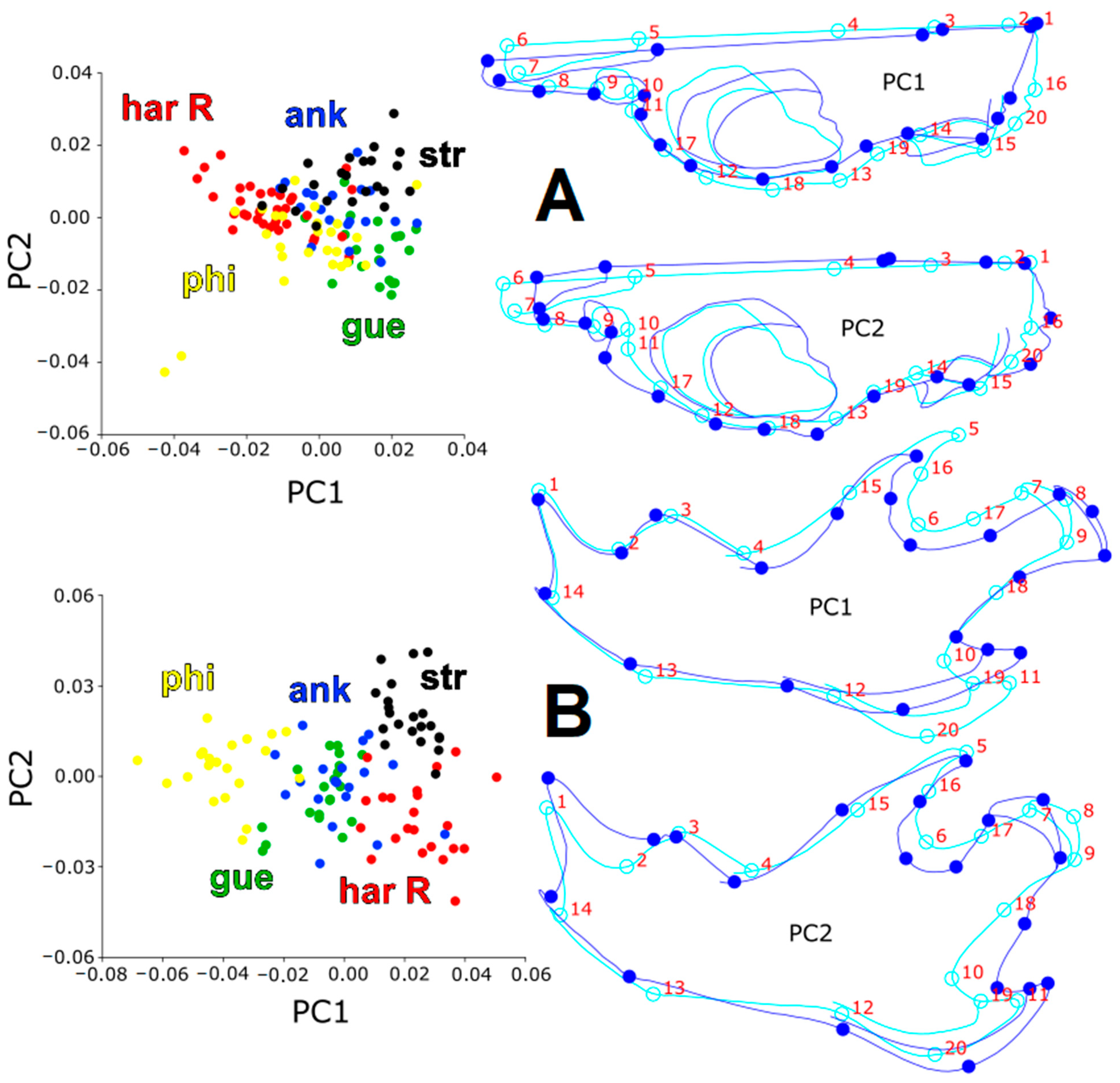 Diversity 15 00083 g003 Diversity 15 00083 g003