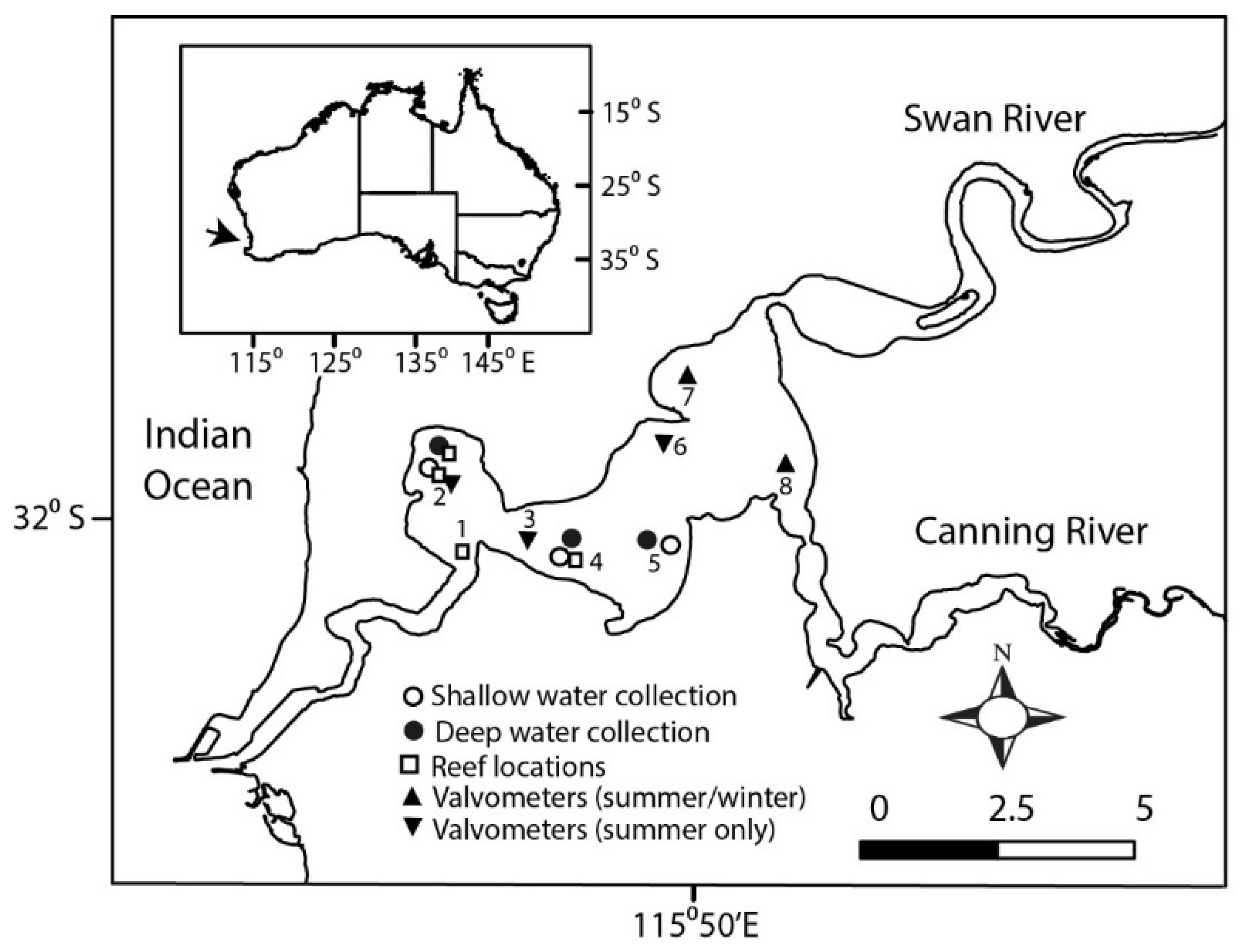 Diversity 15 00113 g001