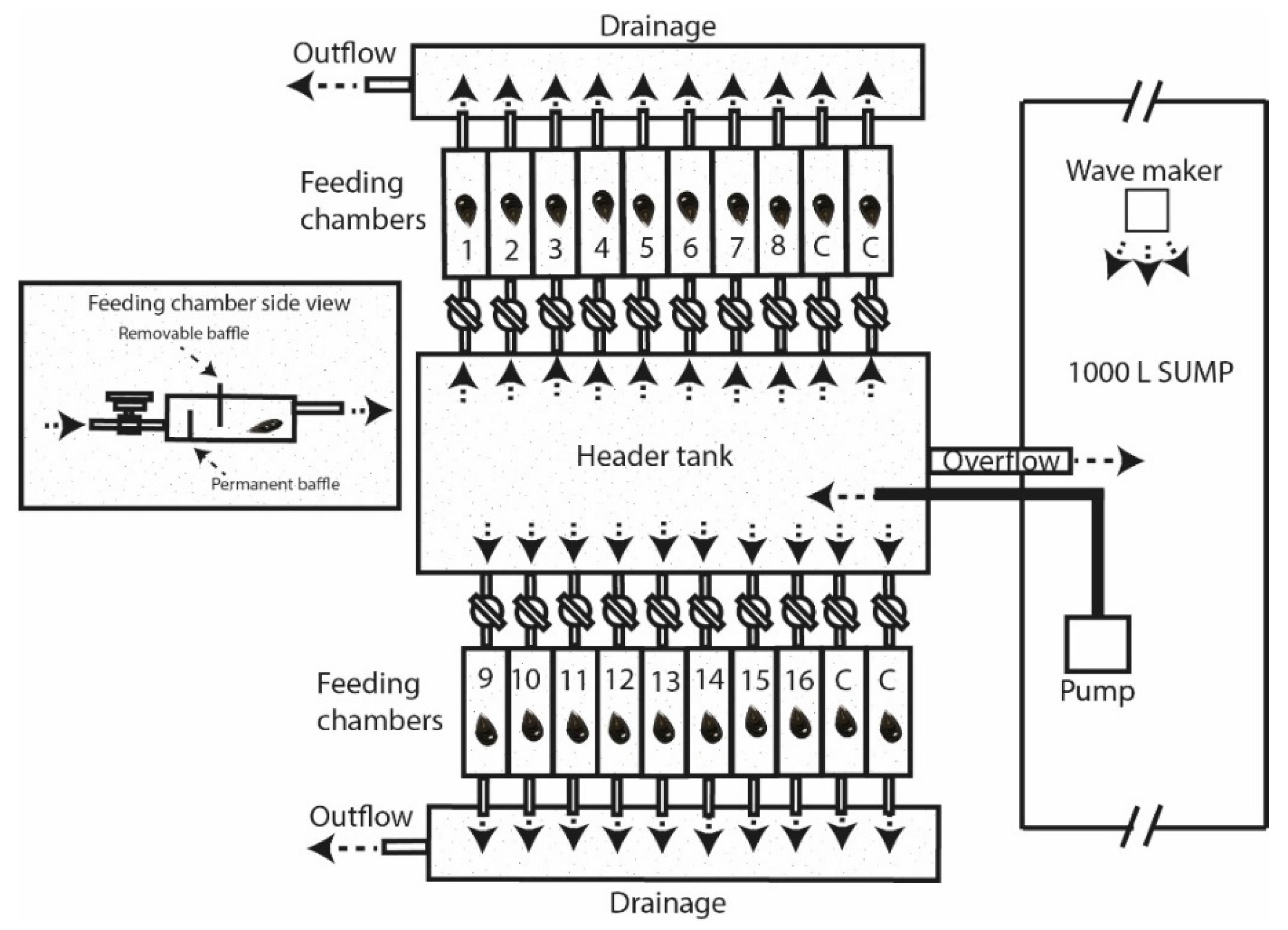 Diversity 15 00113 g002