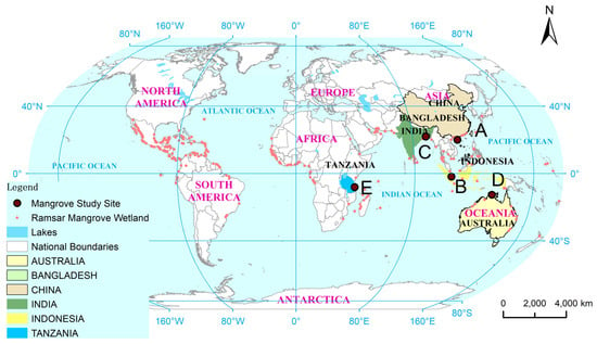 Diversity | Free Full-Text | Assessment of Spatiotemporal Dynamics of ...