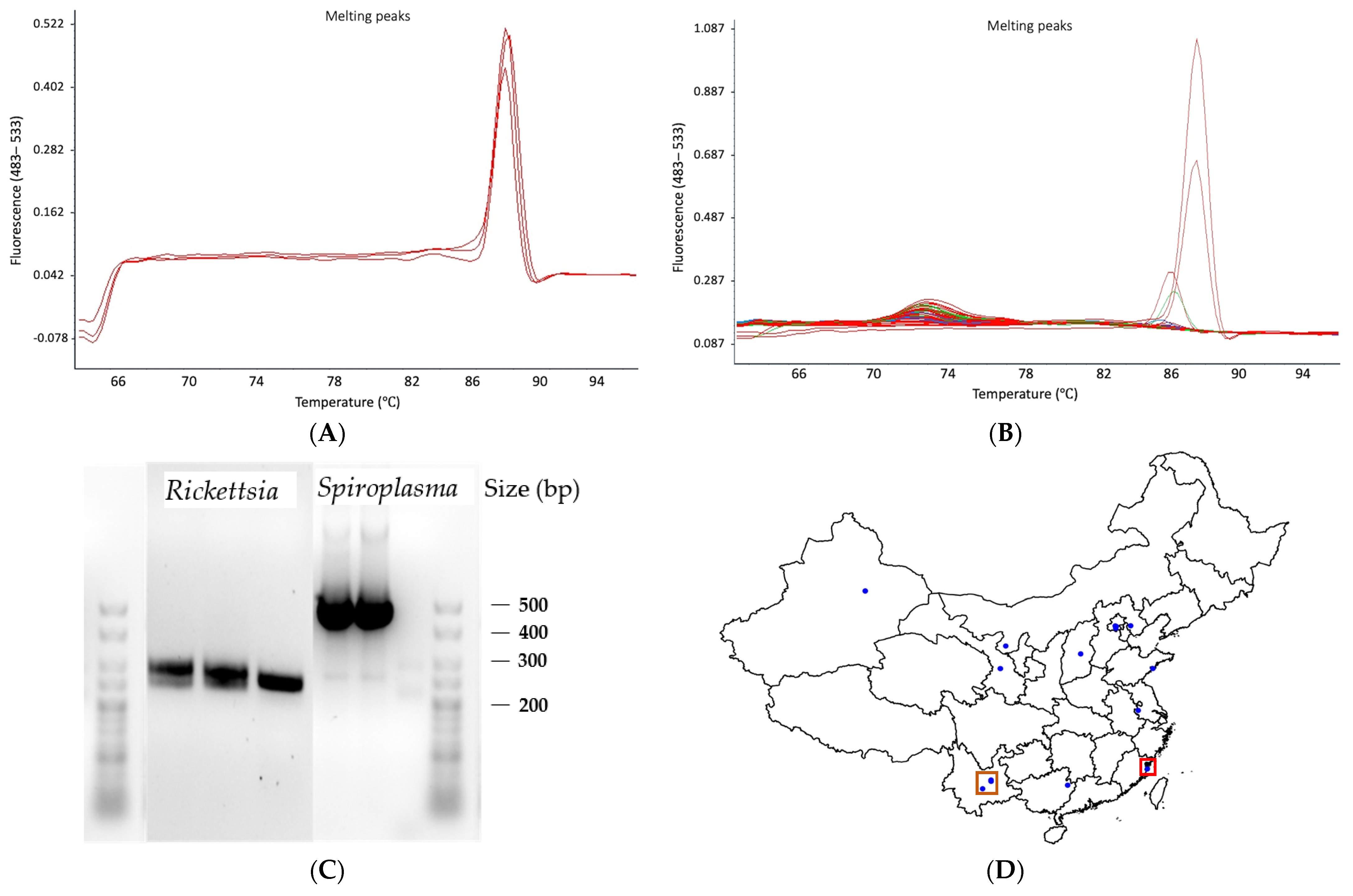Diversity 15 00206 g003 Diversity 15 00206 g003