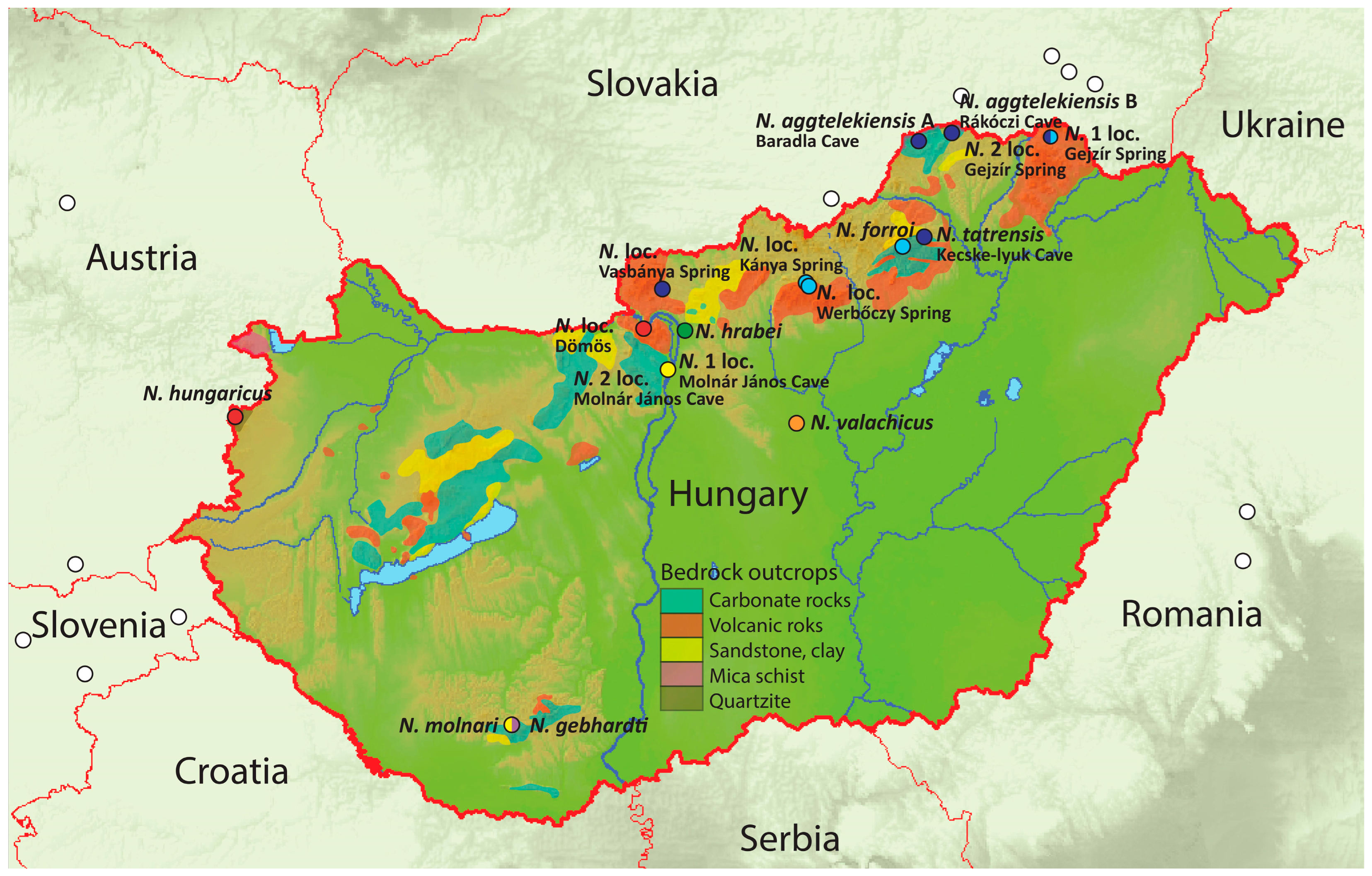 Diversity 15 00223 g001