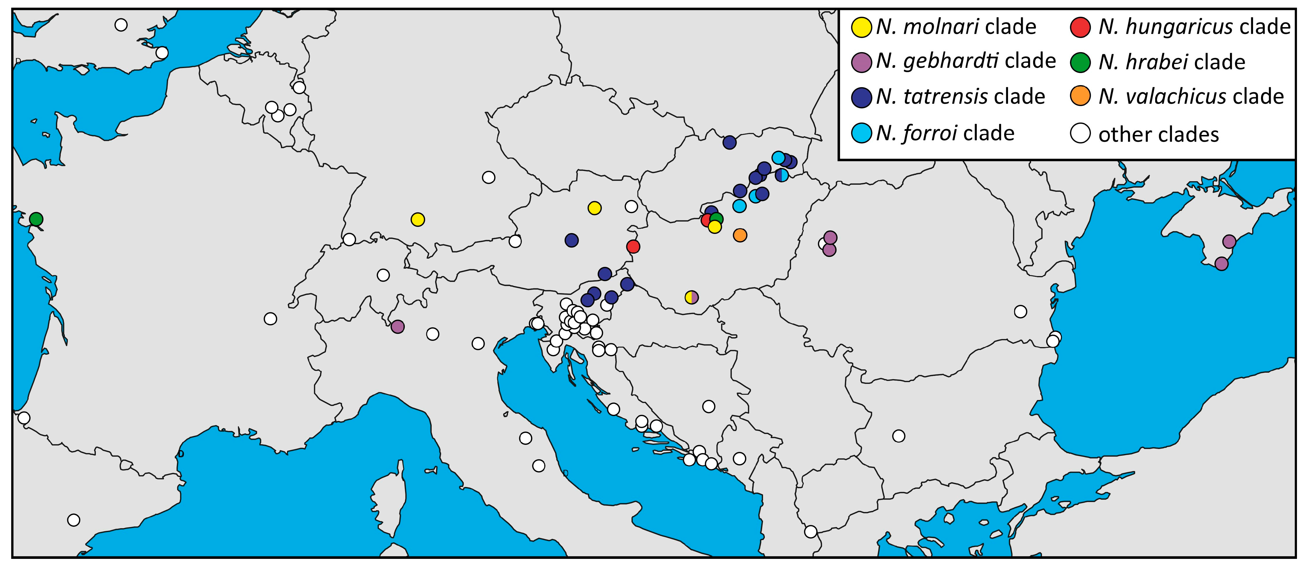 Diversity 15 00223 g003
